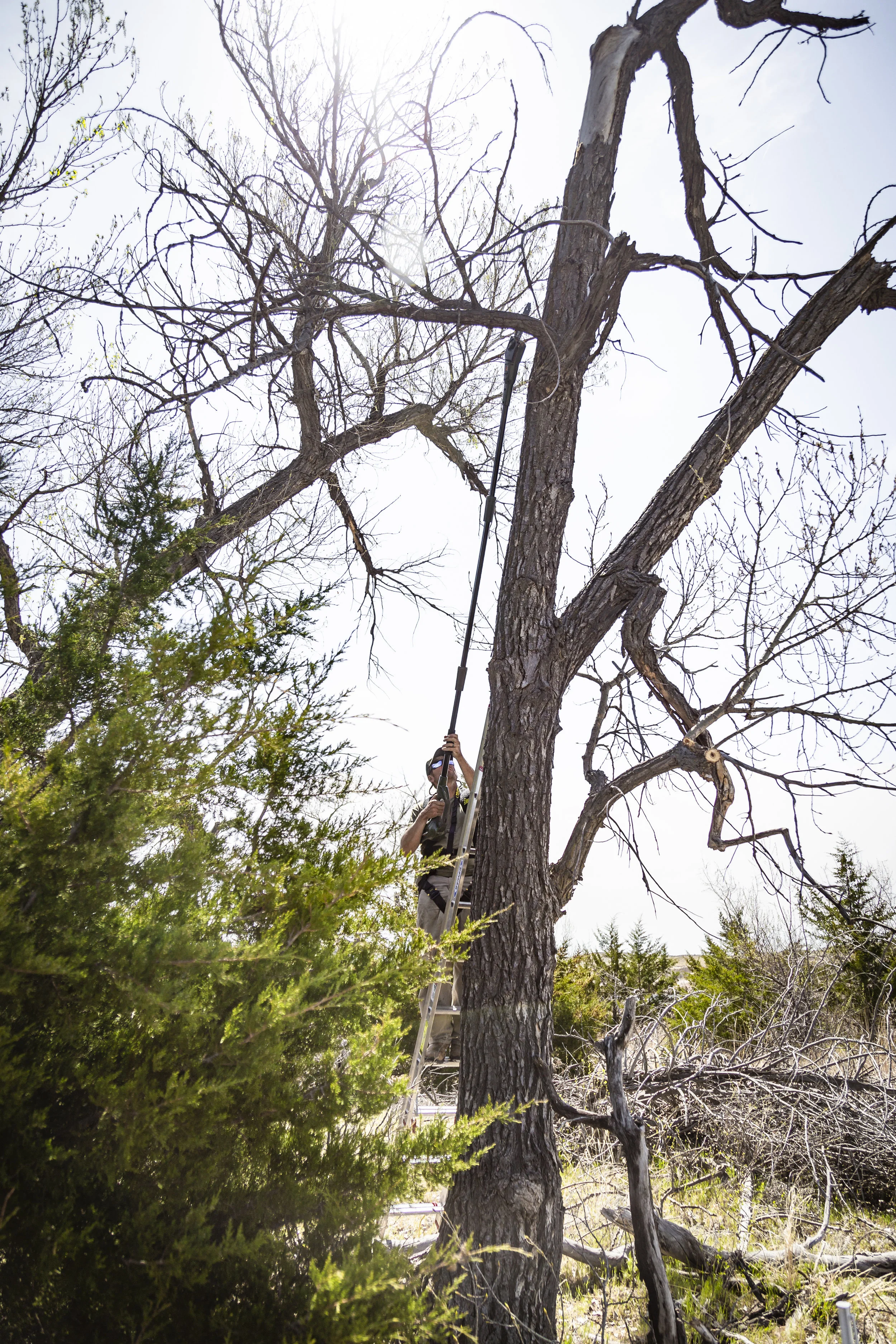 3630- OO_NE_WT_2018_AW (Photo Credit-Garrett Drach).jpg
