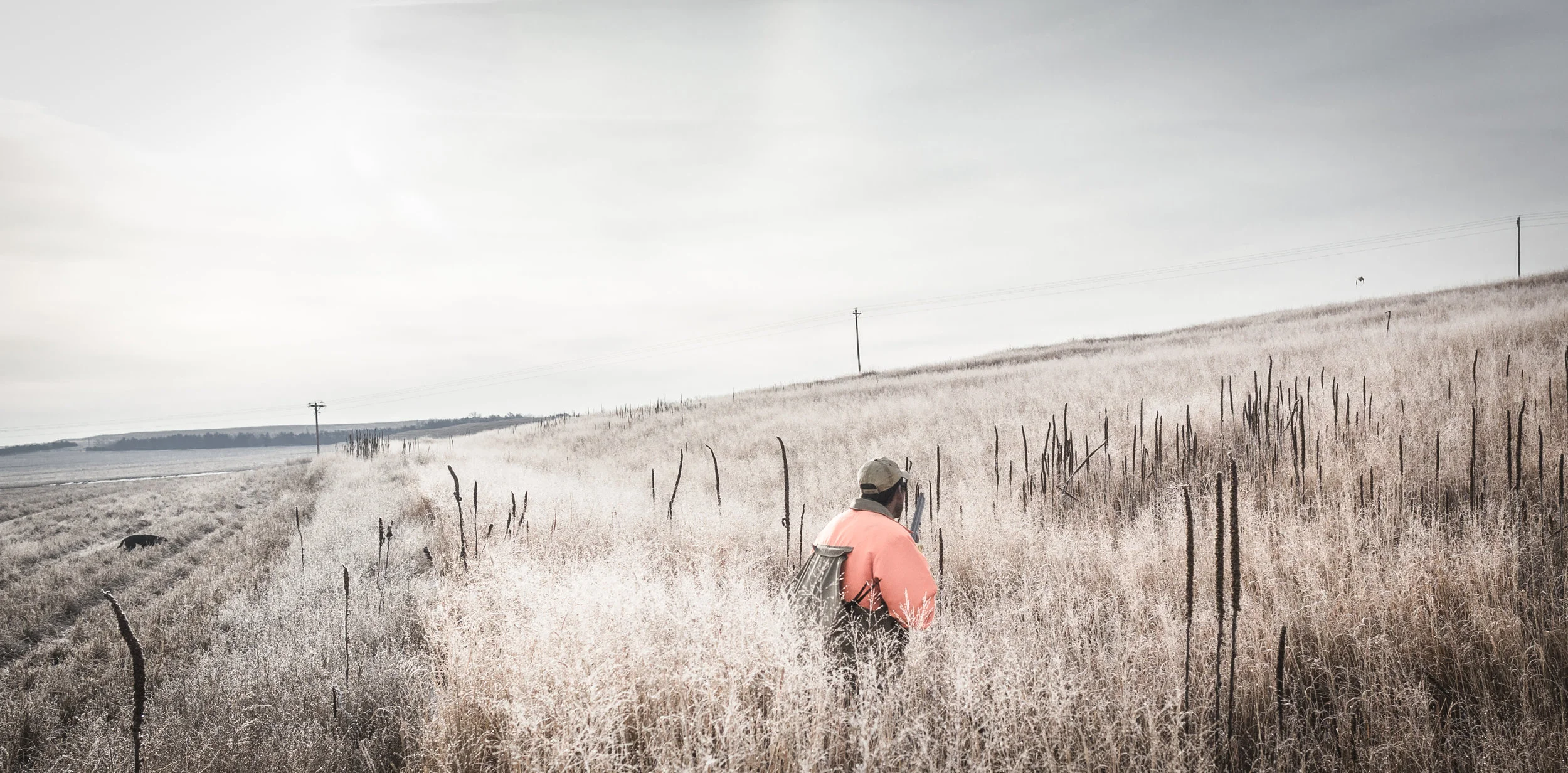 1878- OO_NE_SLR_GD_2017(photo credit- Garrett Drach).jpg