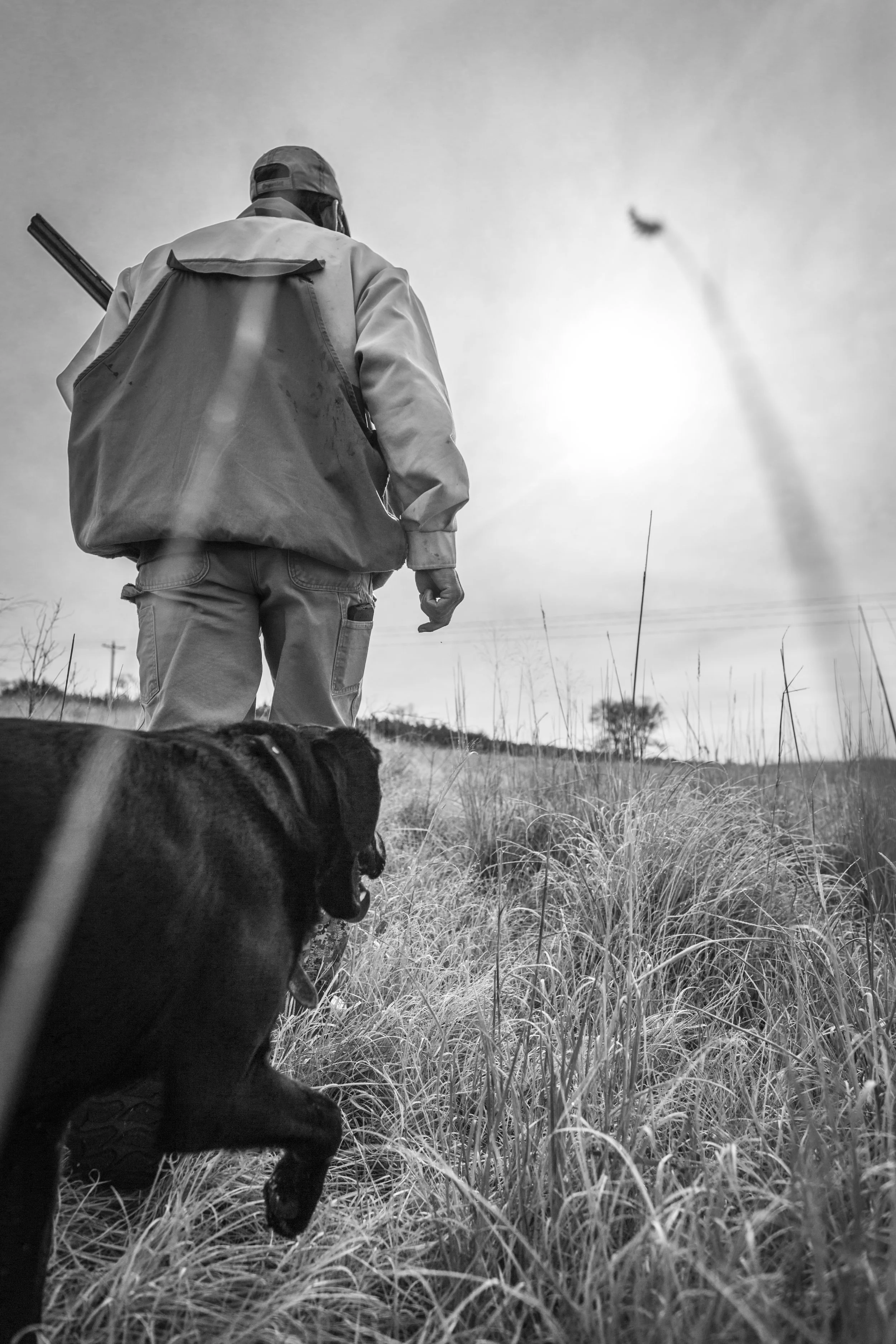 2060- OO_NE_SLR_GD_2017(photo credit- Garrett Drach).jpg