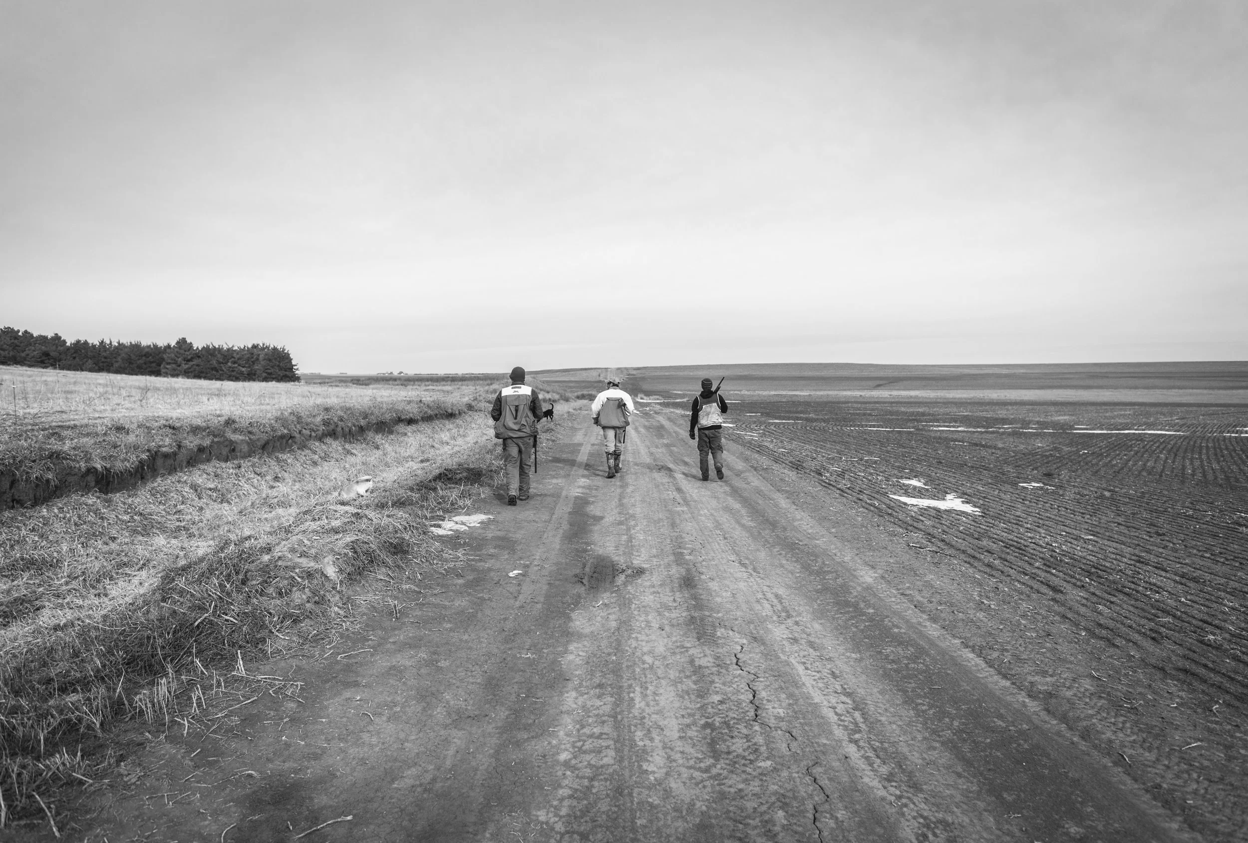 2065- OO_NE_SLR_GD_2017(photo credit- Garrett Drach).jpg