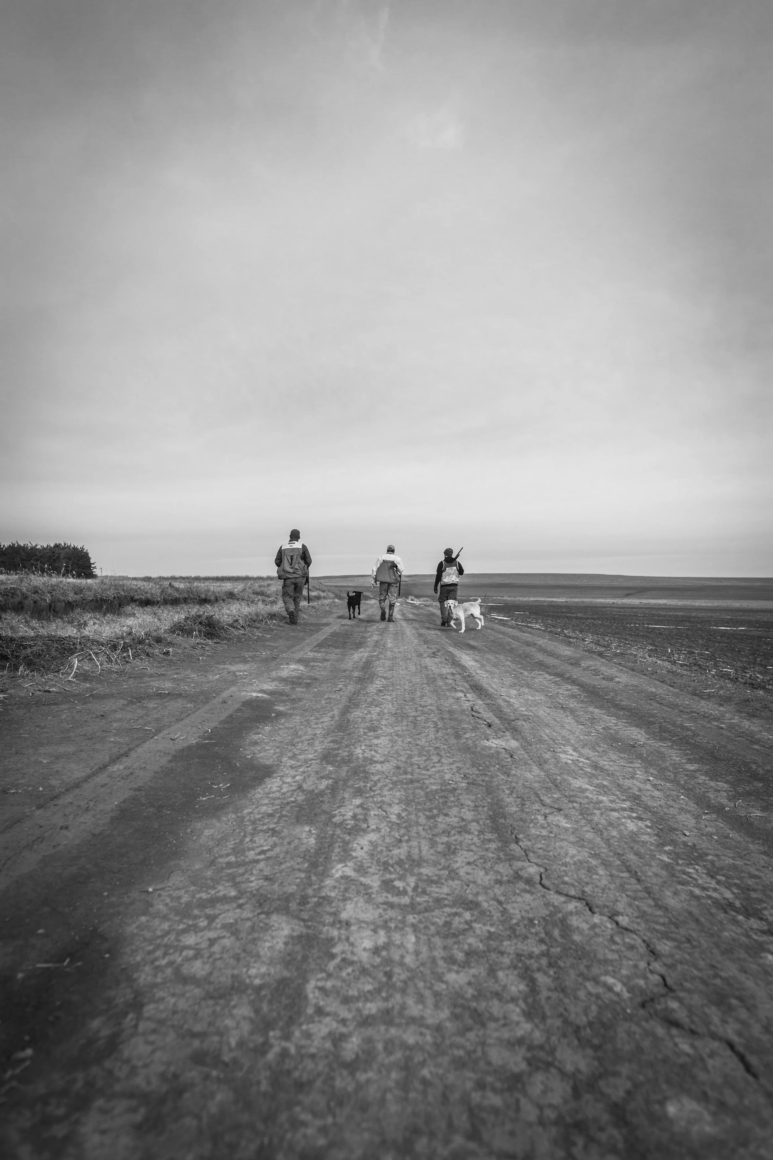 2066- OO_NE_SLR_GD_2017(photo credit- Garrett Drach)-2.jpg
