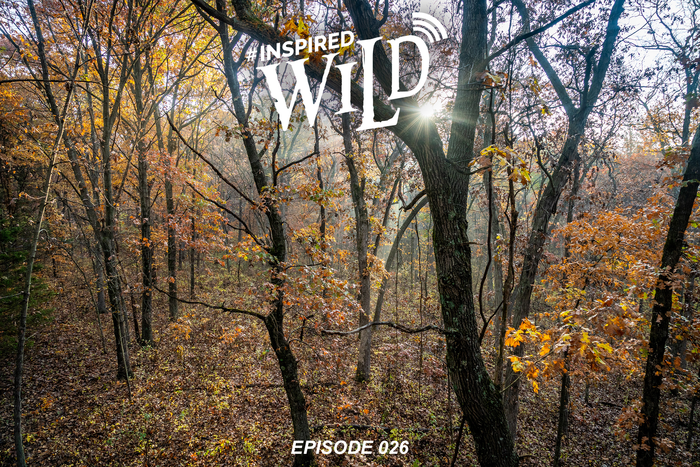 EP. 026 - MO Whitetail 2018 - The Rut