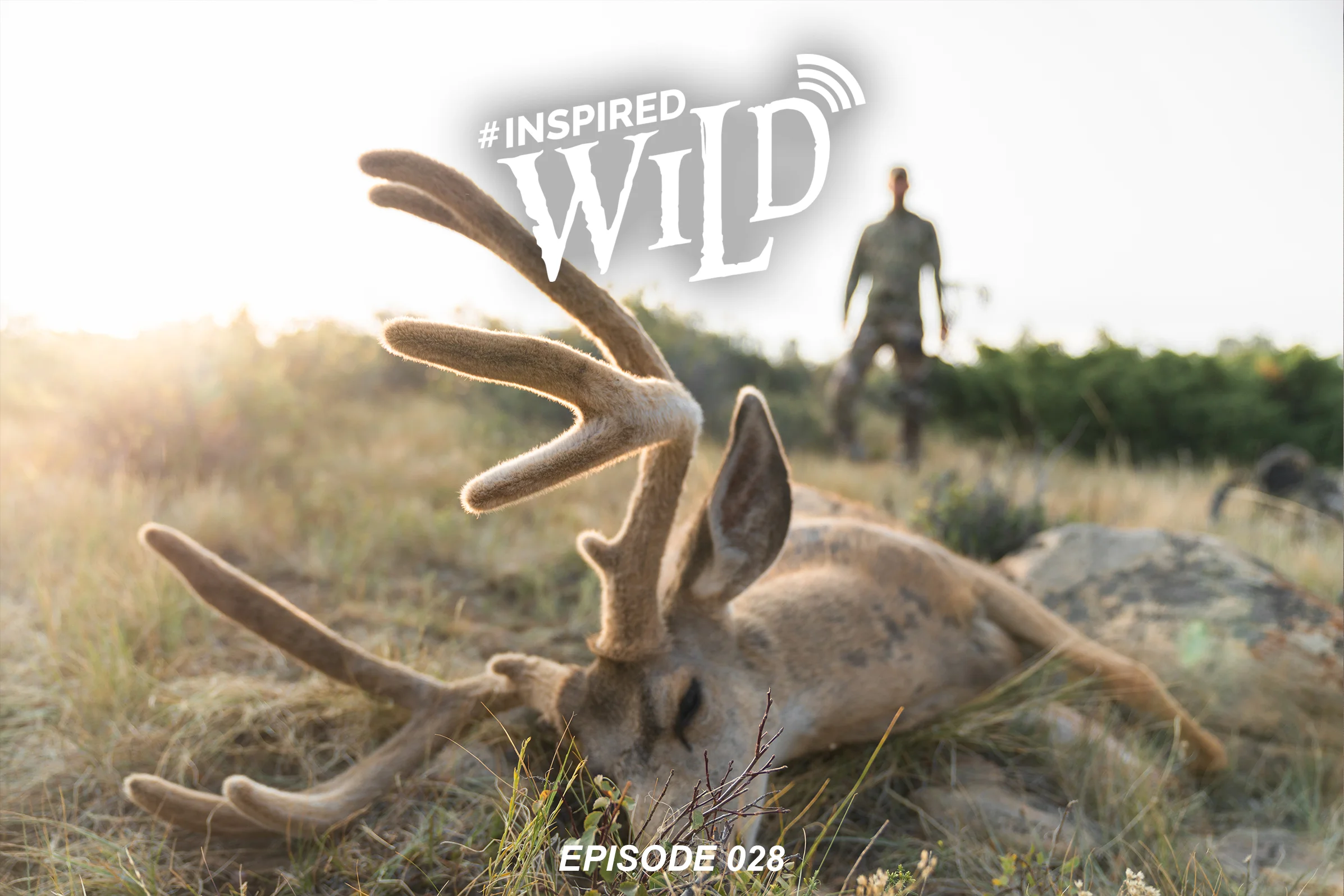 EP. 028 - Colorado Mule Deer with Lane Walter and Eric Whiting