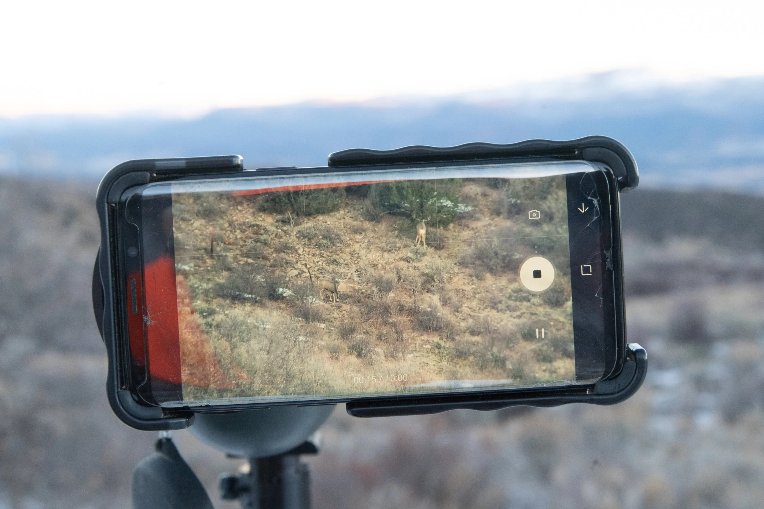 CO Mule Deer 2018_Unit44-00030.jpg