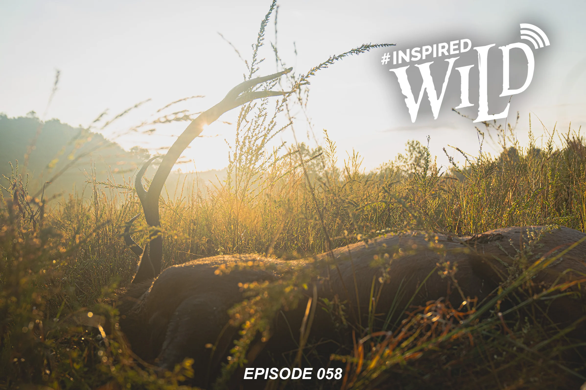 EP. 058 - Kentucky Elk 2019 Part 2