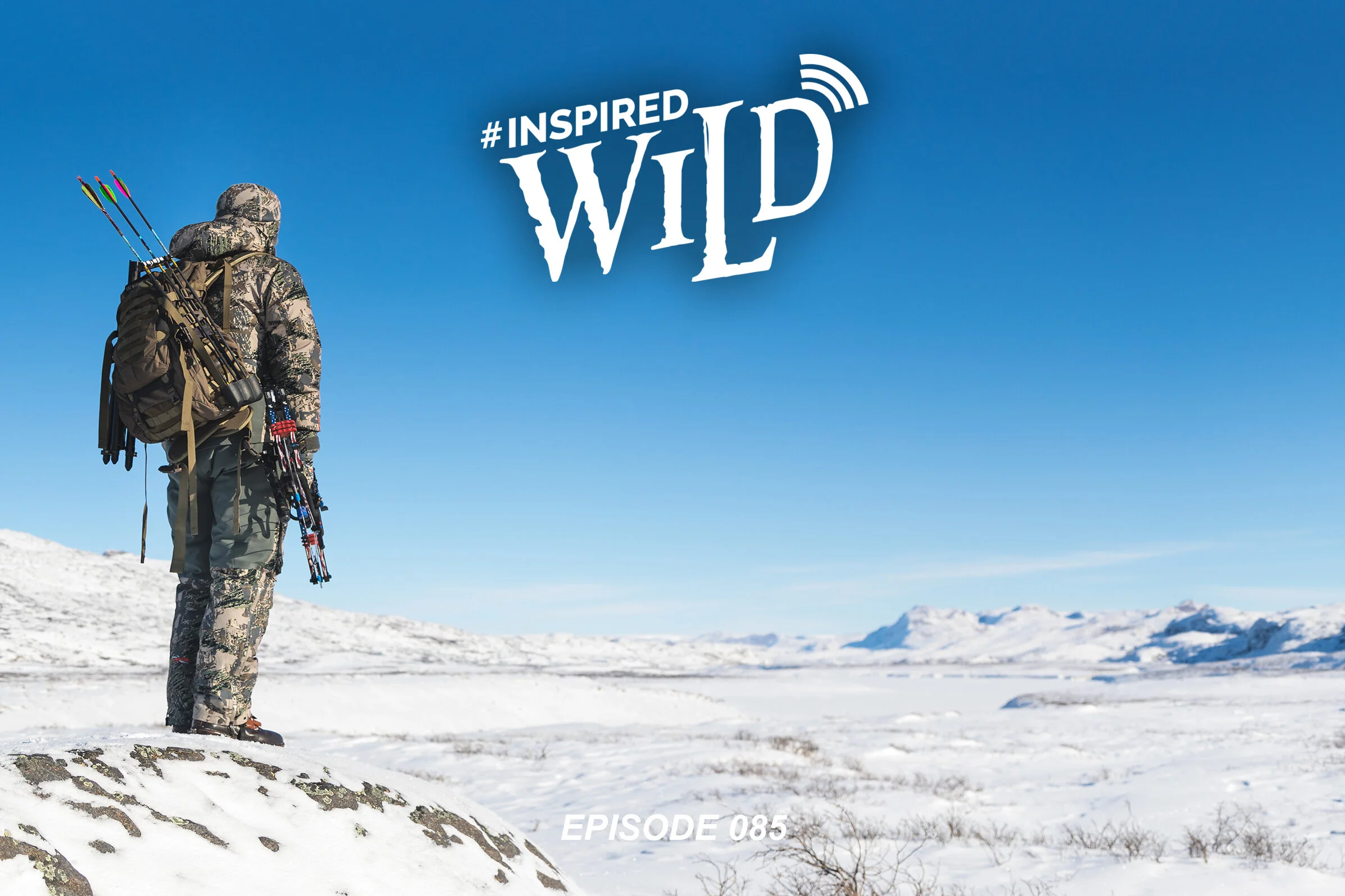 EP. 085 - Greenland Muskox