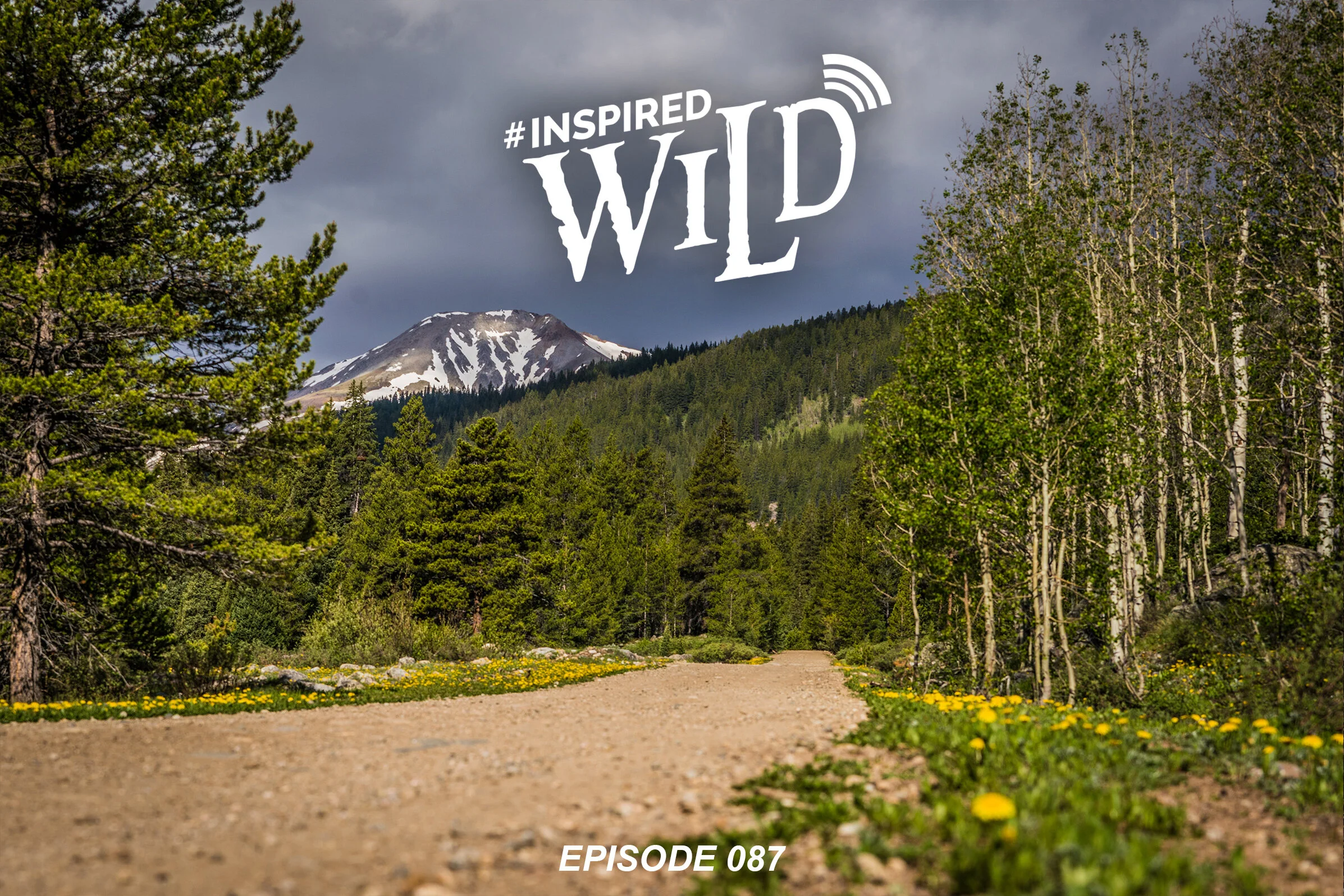 EP. 087 - Colorado Moose 2020 Scouting