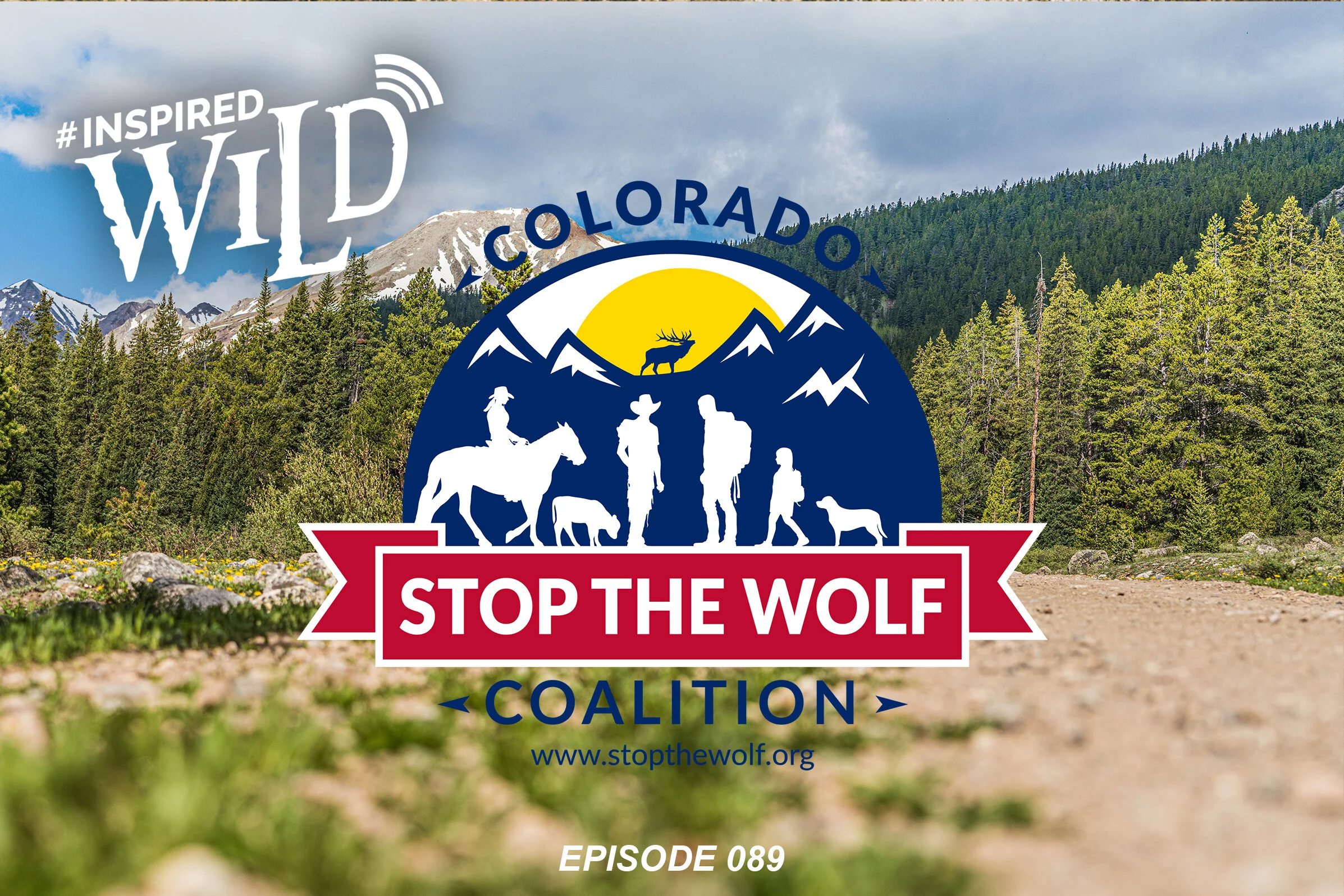 EP. 089 - Paul Navarre and the Re-Introduction of Wolves