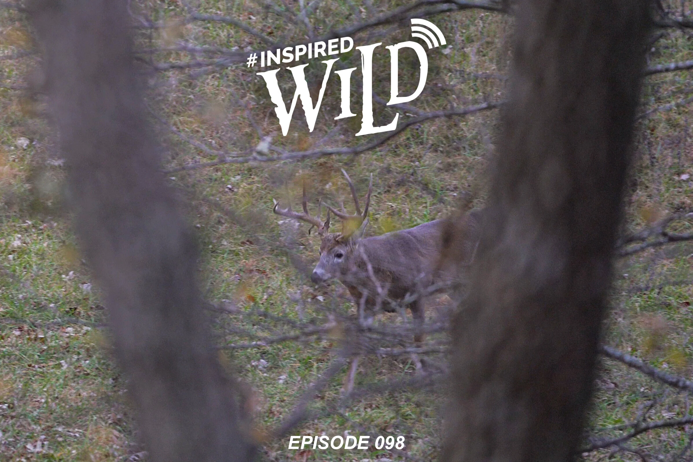 EP. 098 Kansas Whitetail 2020 - The "Blades" Saga Continues