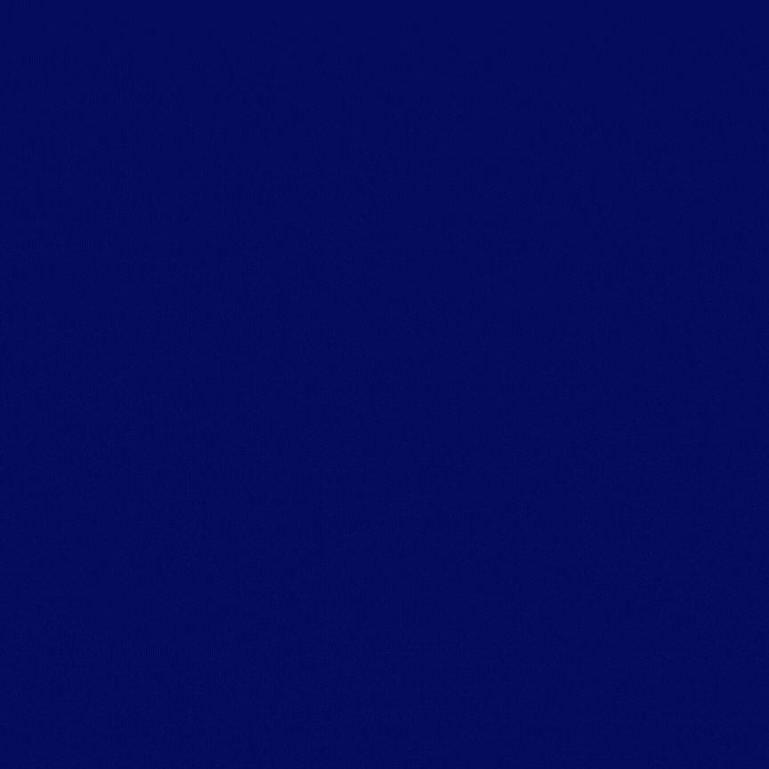 ELF's 20th Anniversary Social