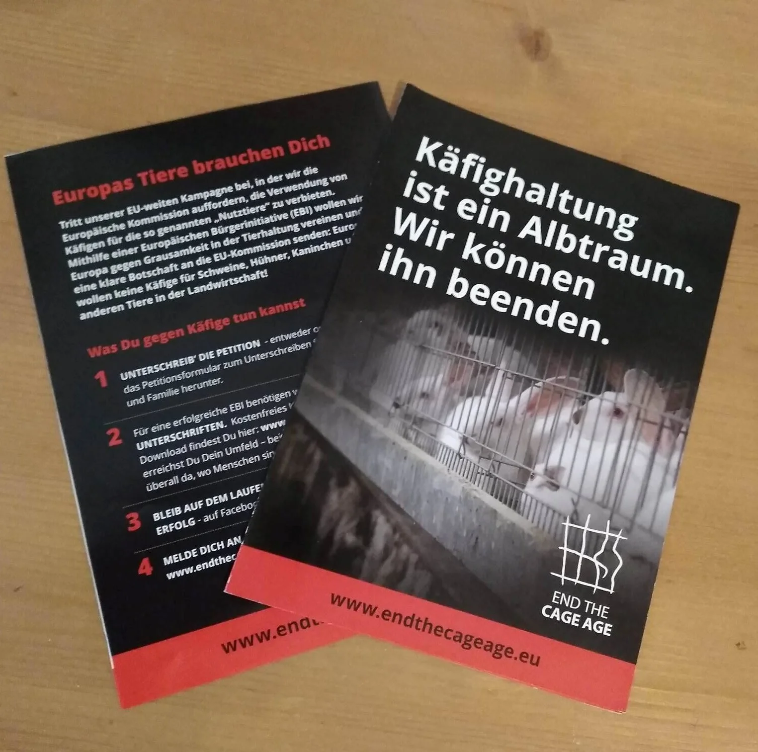 ENDTHECAGEAGE Flyer.jpg