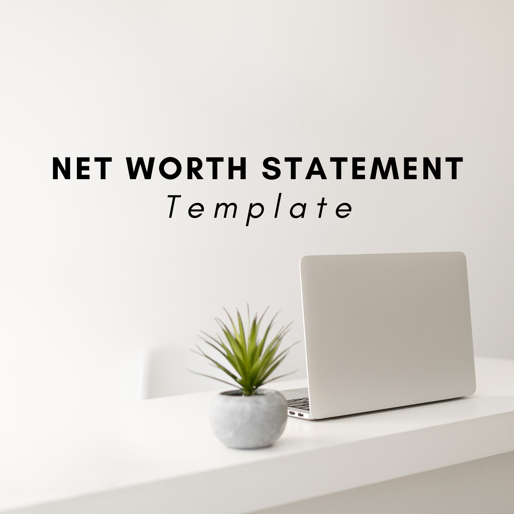 Net Worth Statement
