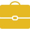 icons8-business-filled-100.png