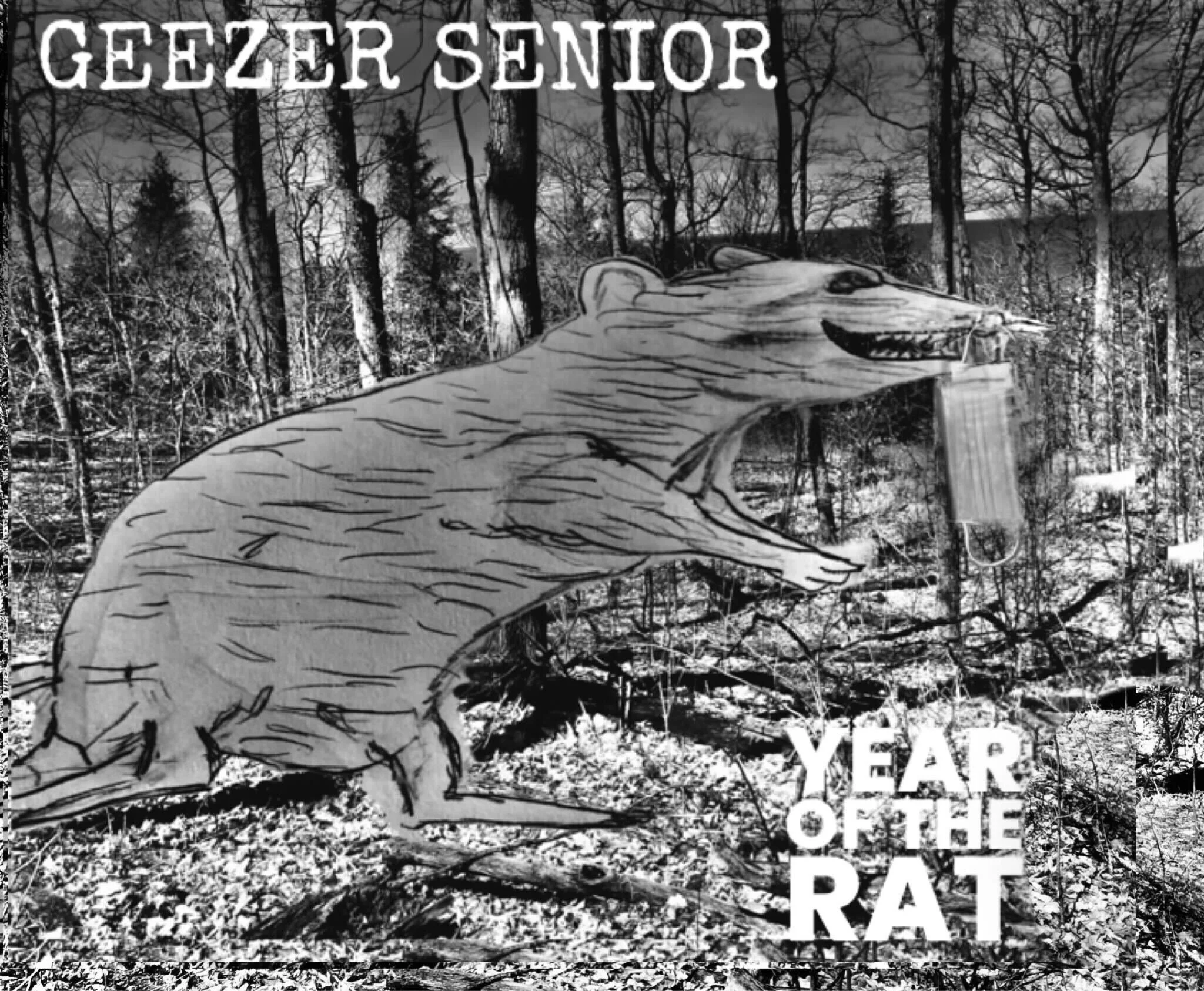 GEEZER SENIOR RELEASE