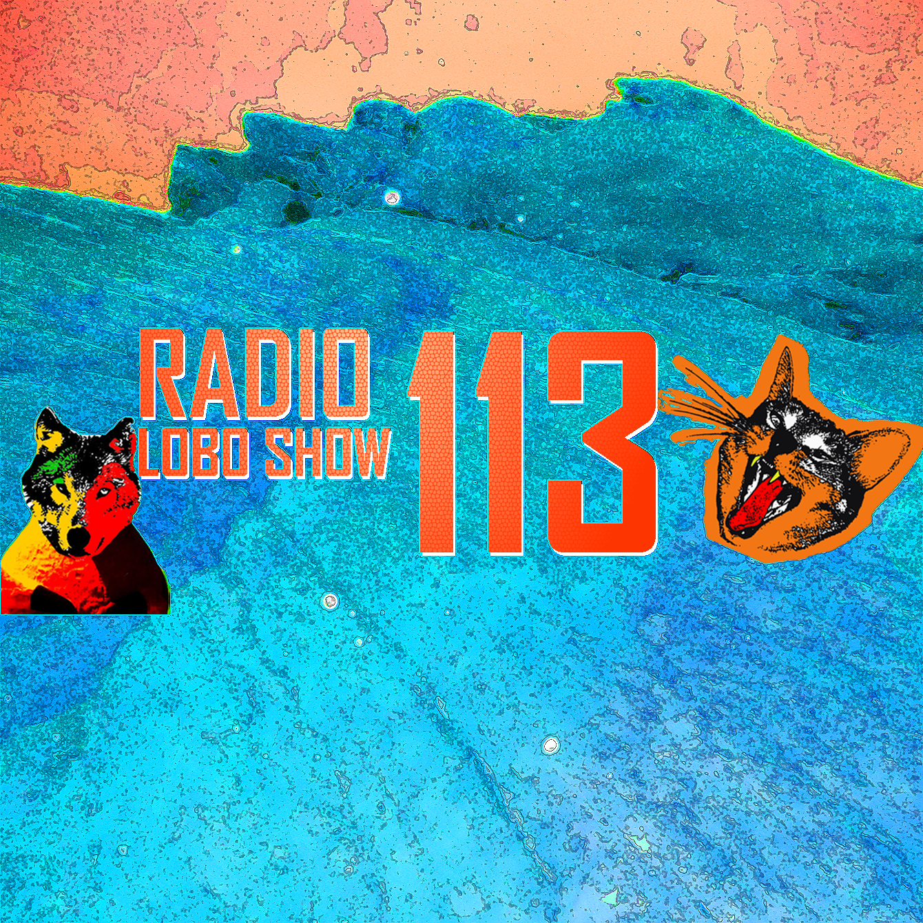 Radio LOBO Show! 113