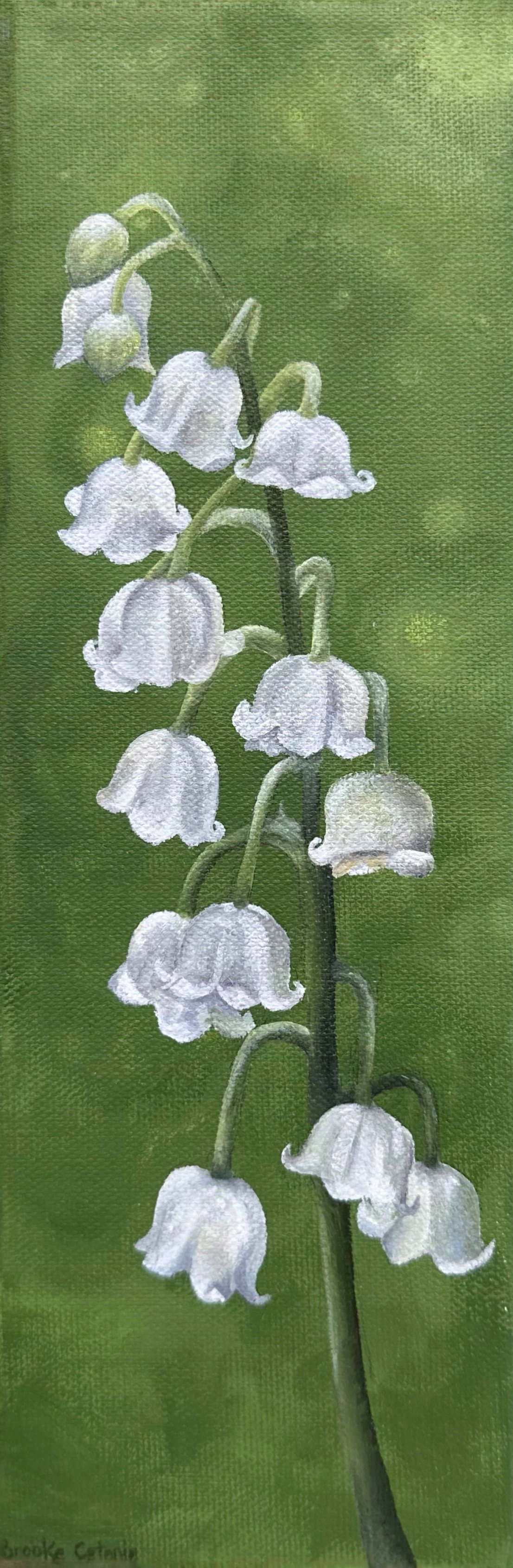 Lily of the Valley
