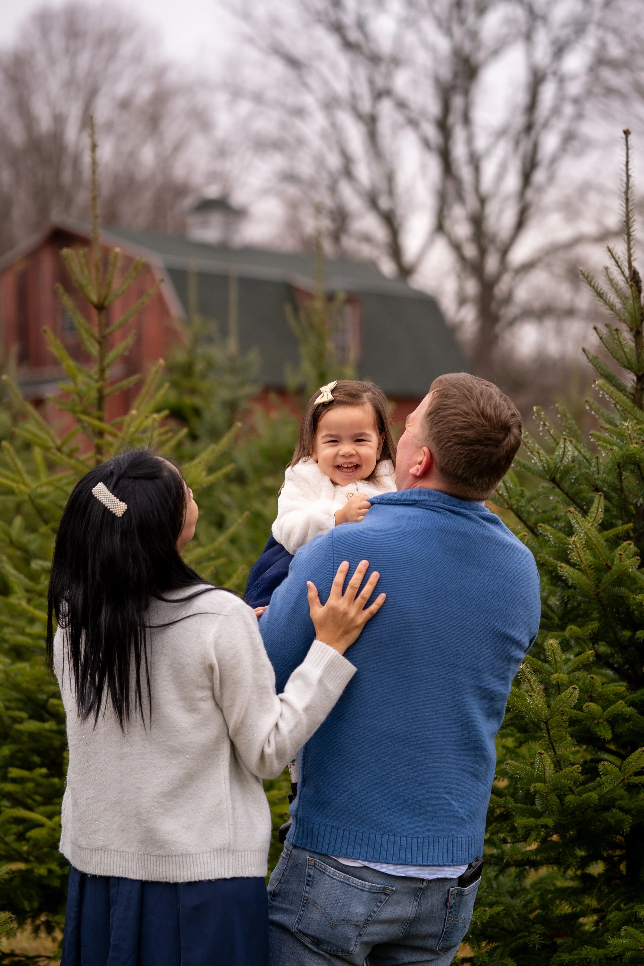 TheLinFamily_ChristmasMinis-6.JPG