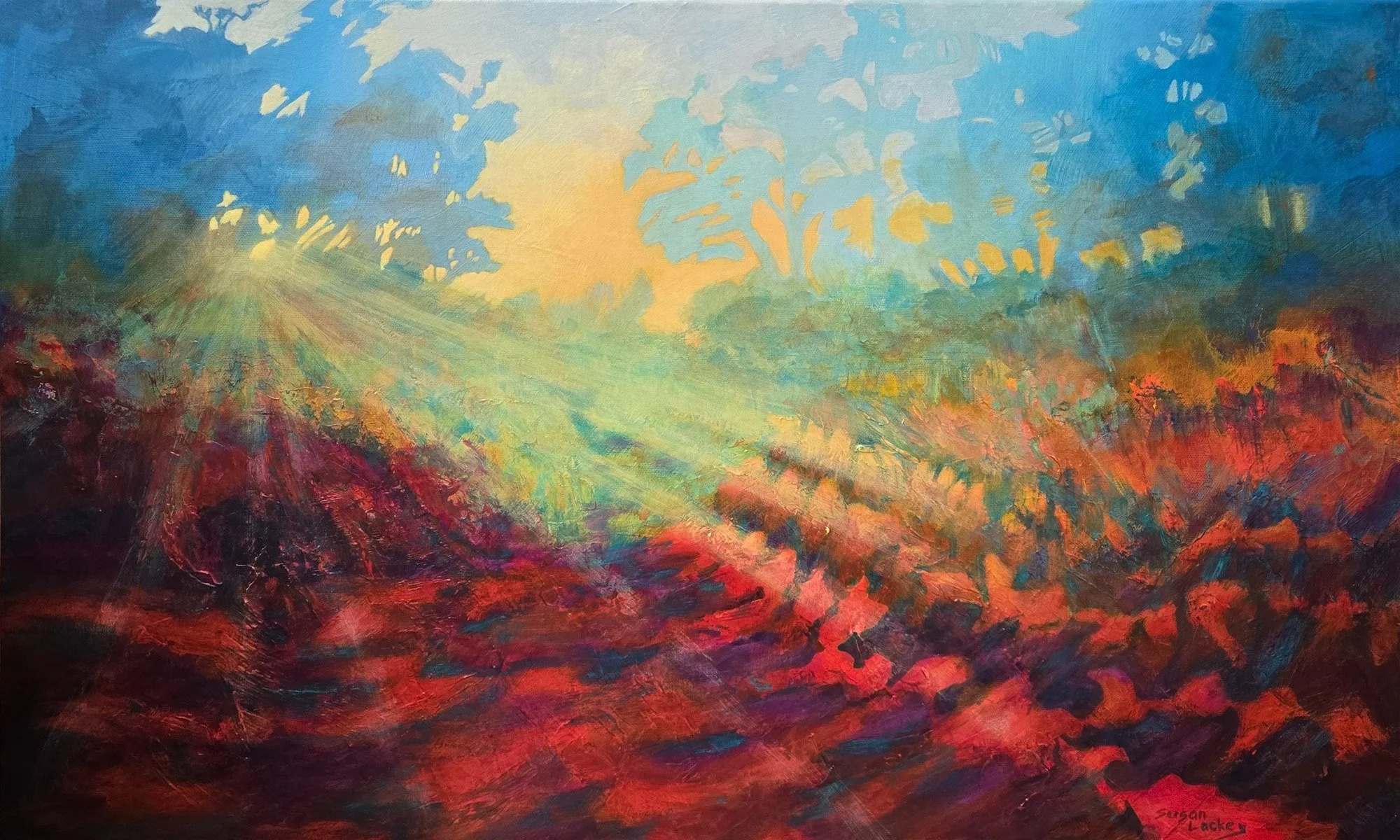 Joyous Morning Light