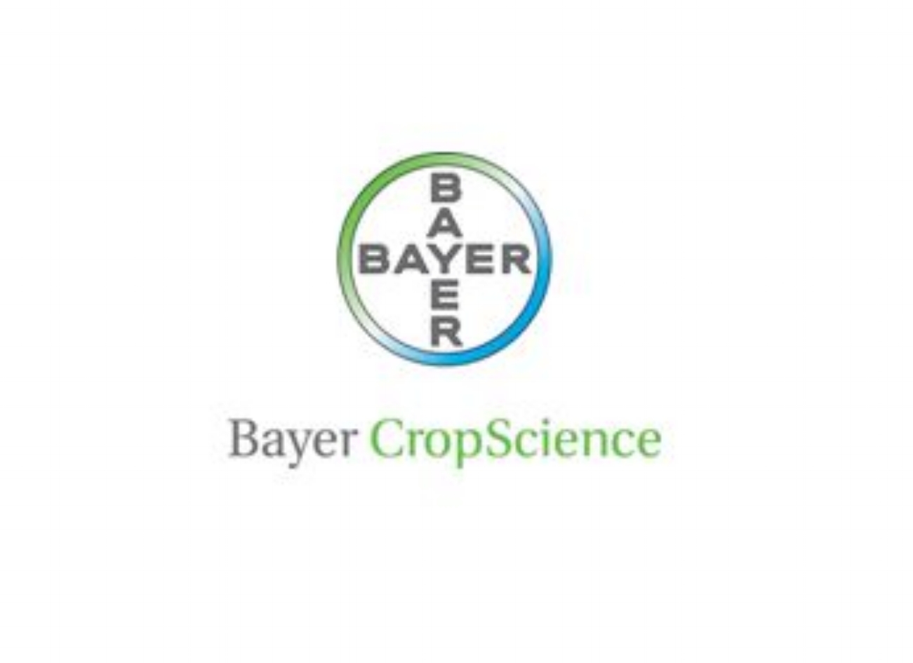 bayer 222.JPG