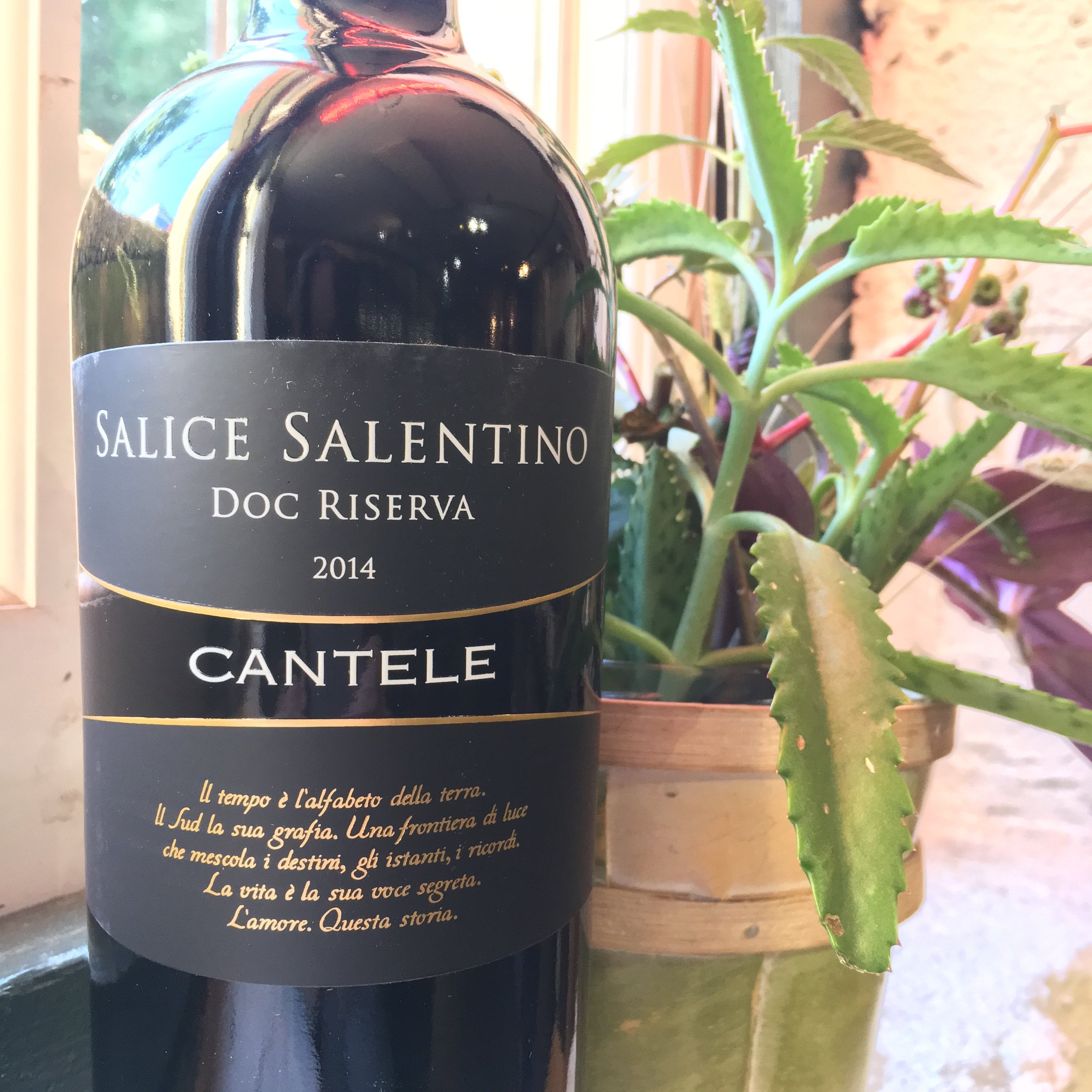 Wine of the Week 8/28/18