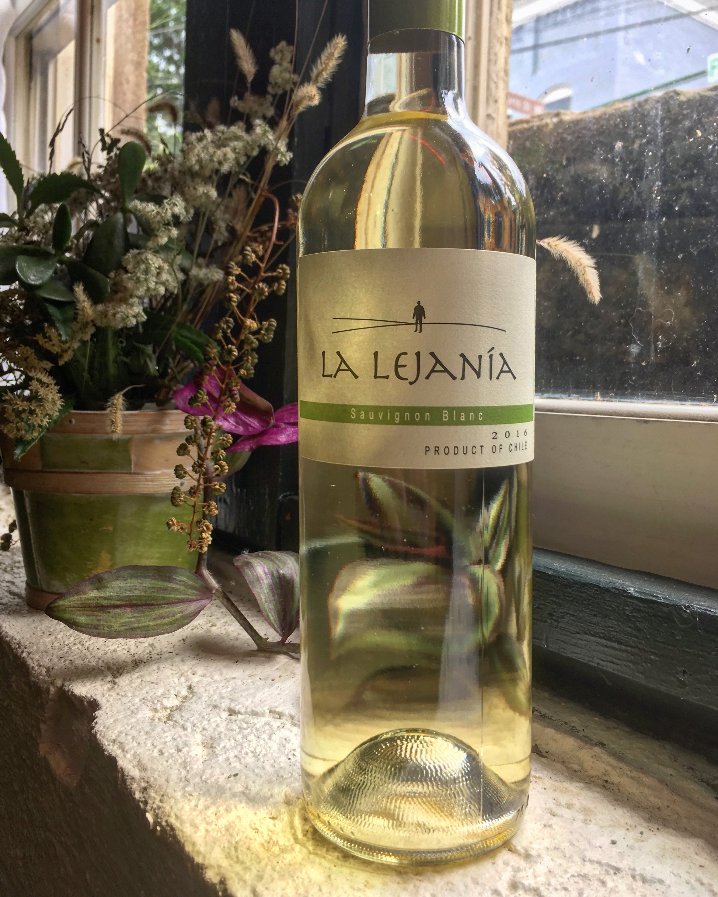 Wine of the Week 9/18/18