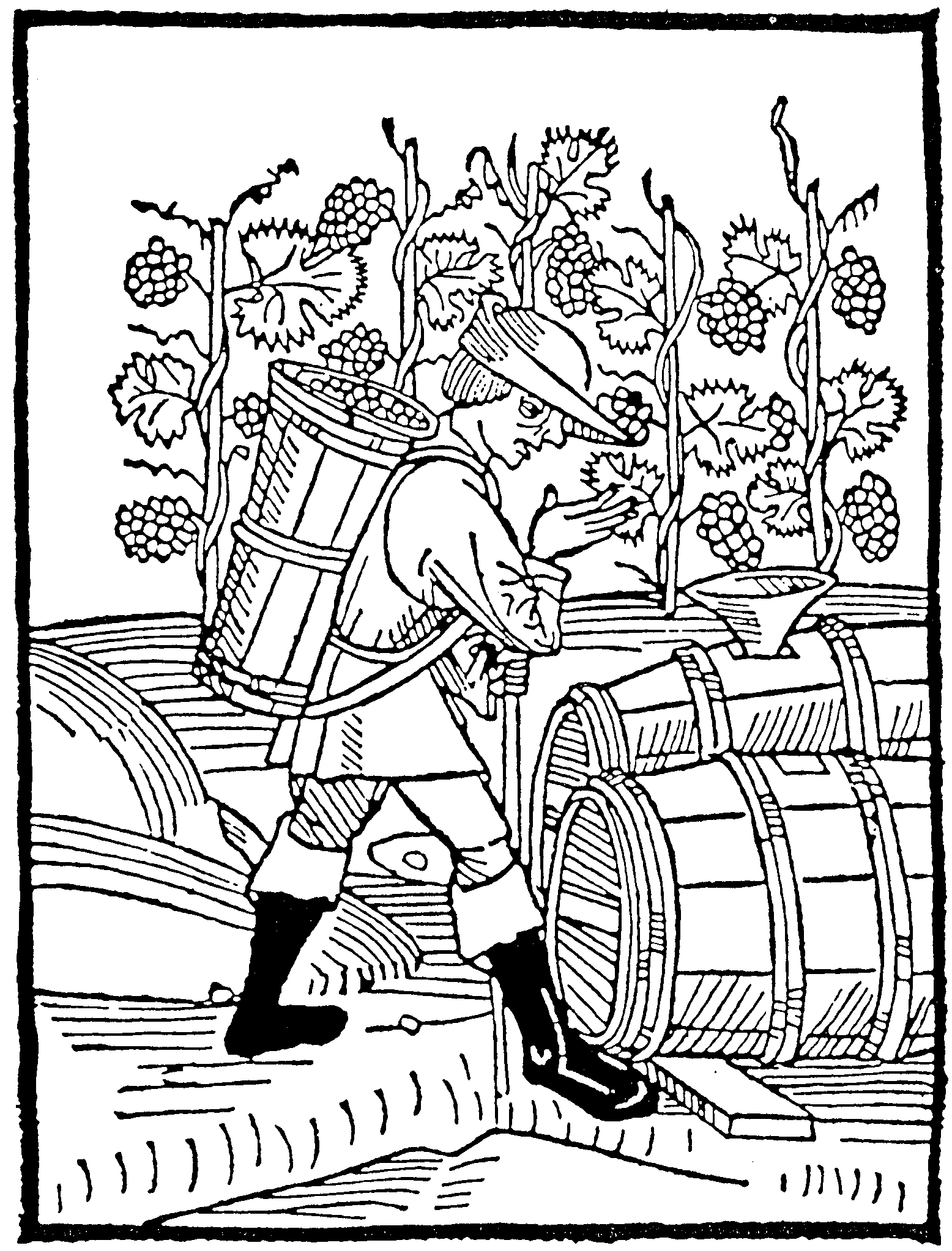 germanwinemaking.gif