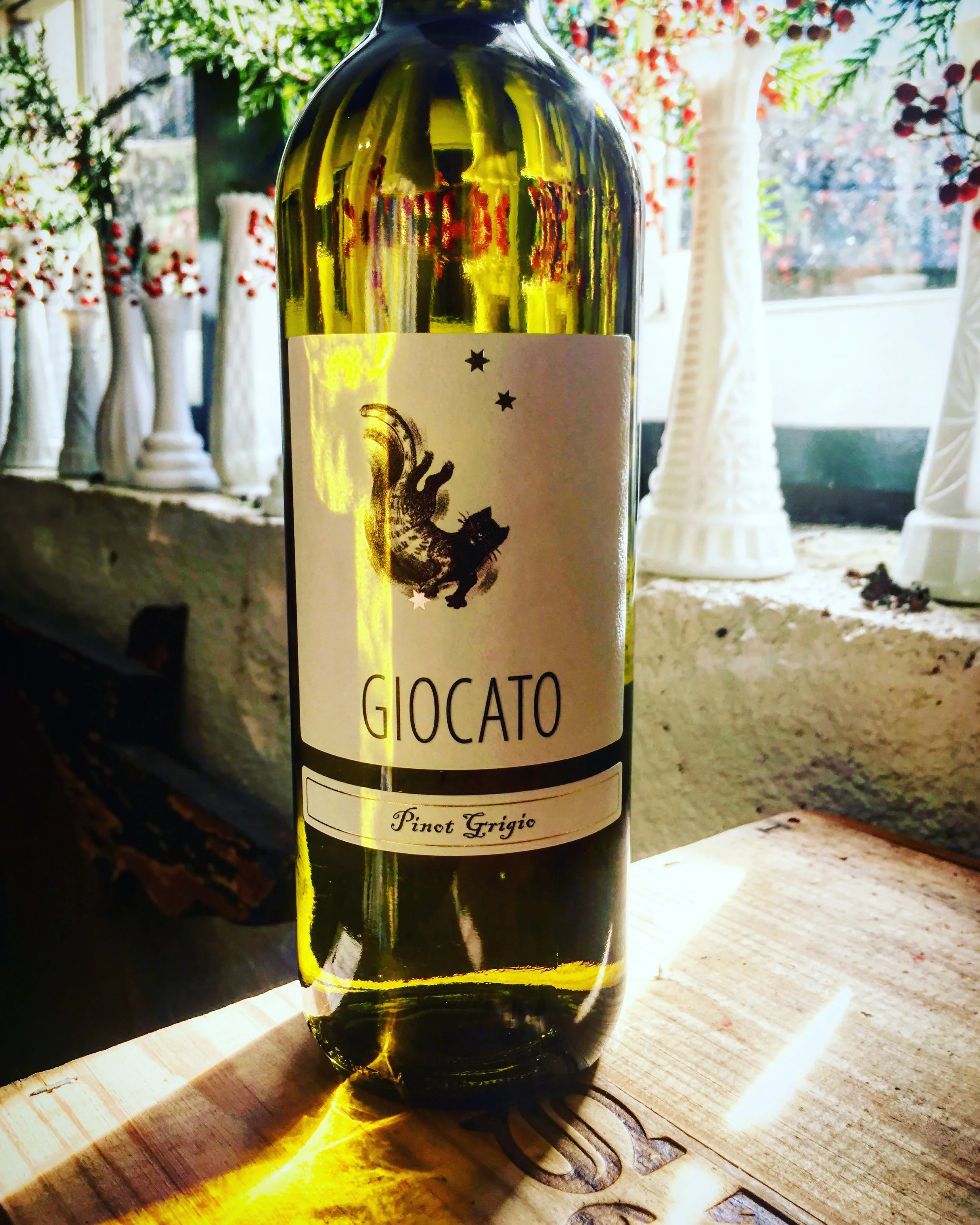 Wine of the Week 11/12/19