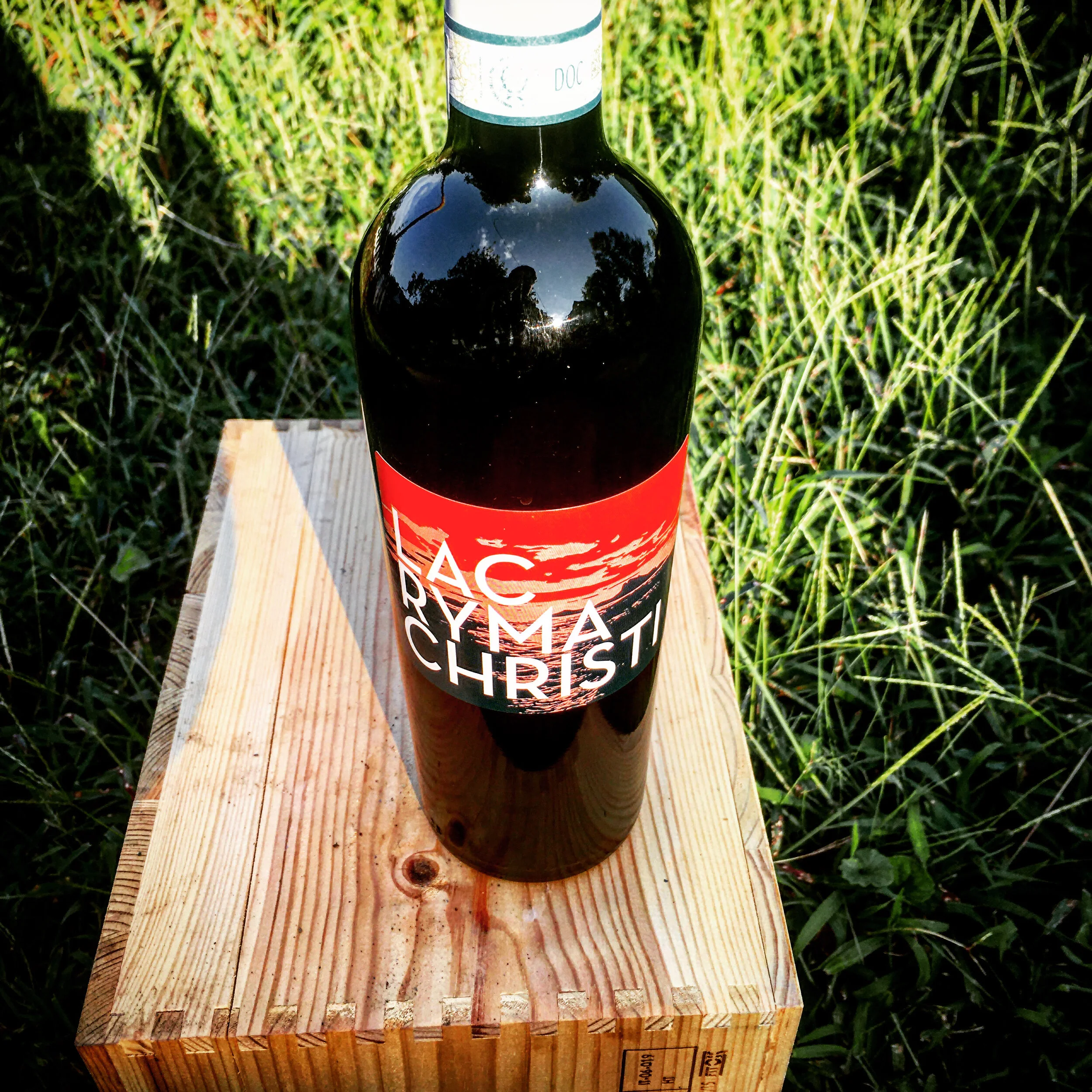 Wine of the Week 8/11/20