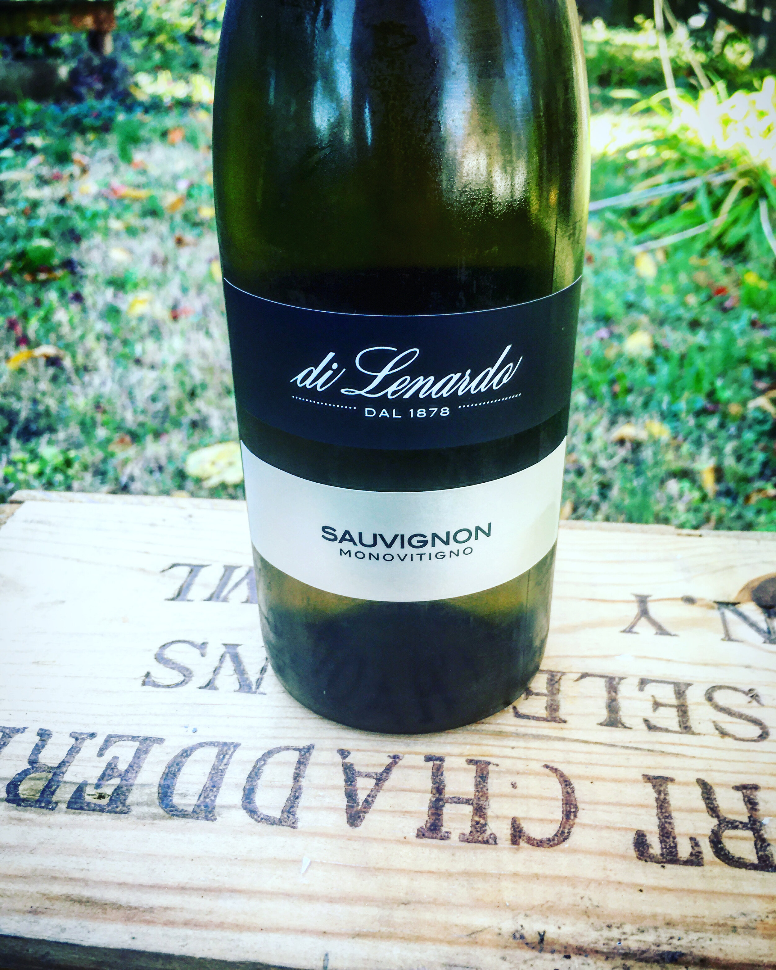 Wine of the Week 10/27/20