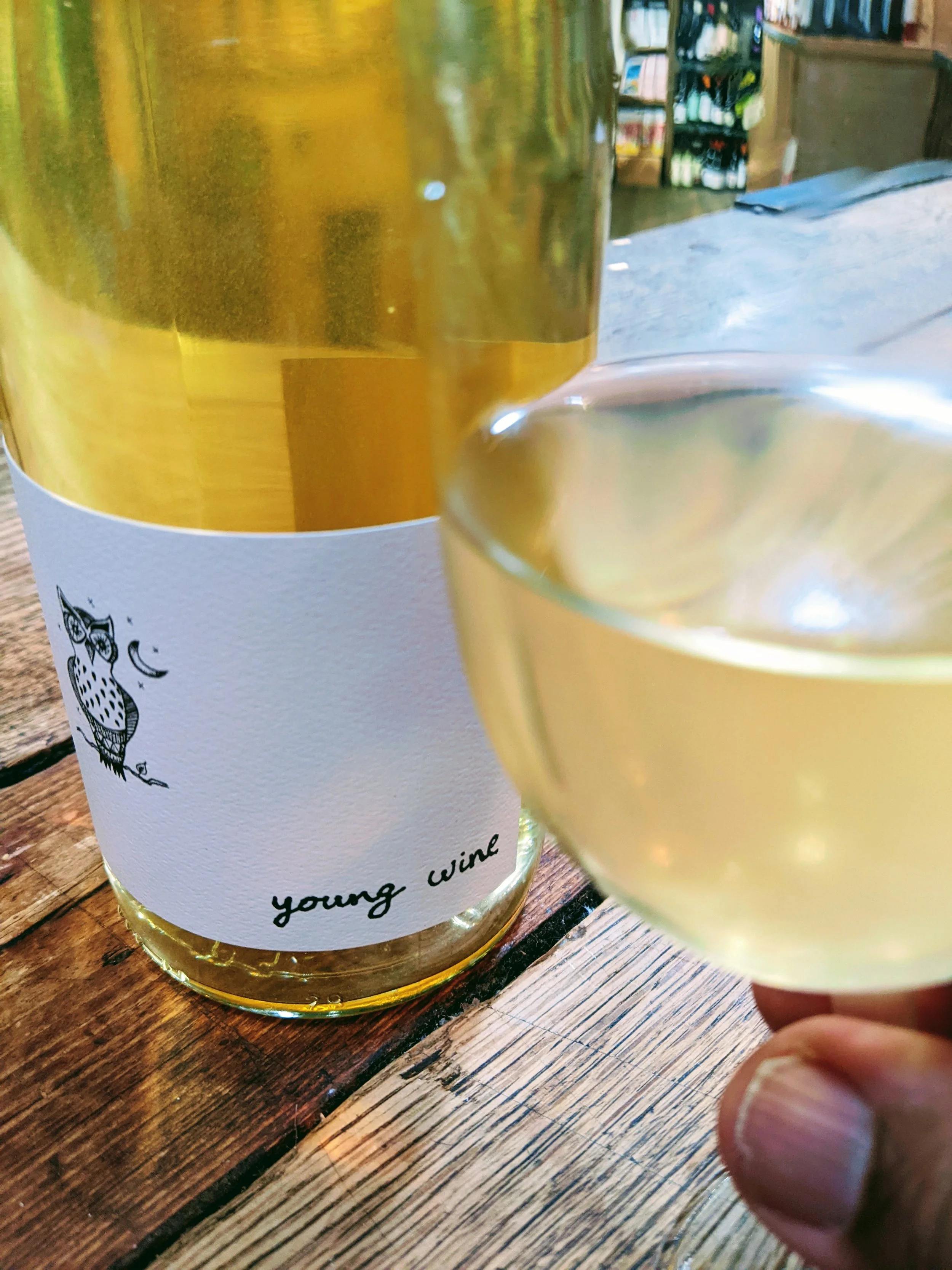 WINE OF THE WEEK 10/11/2022