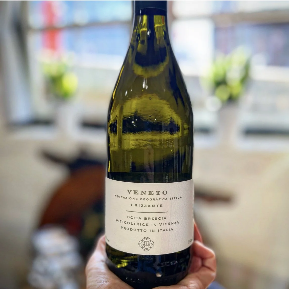 Wine of the Week! 11/22/22