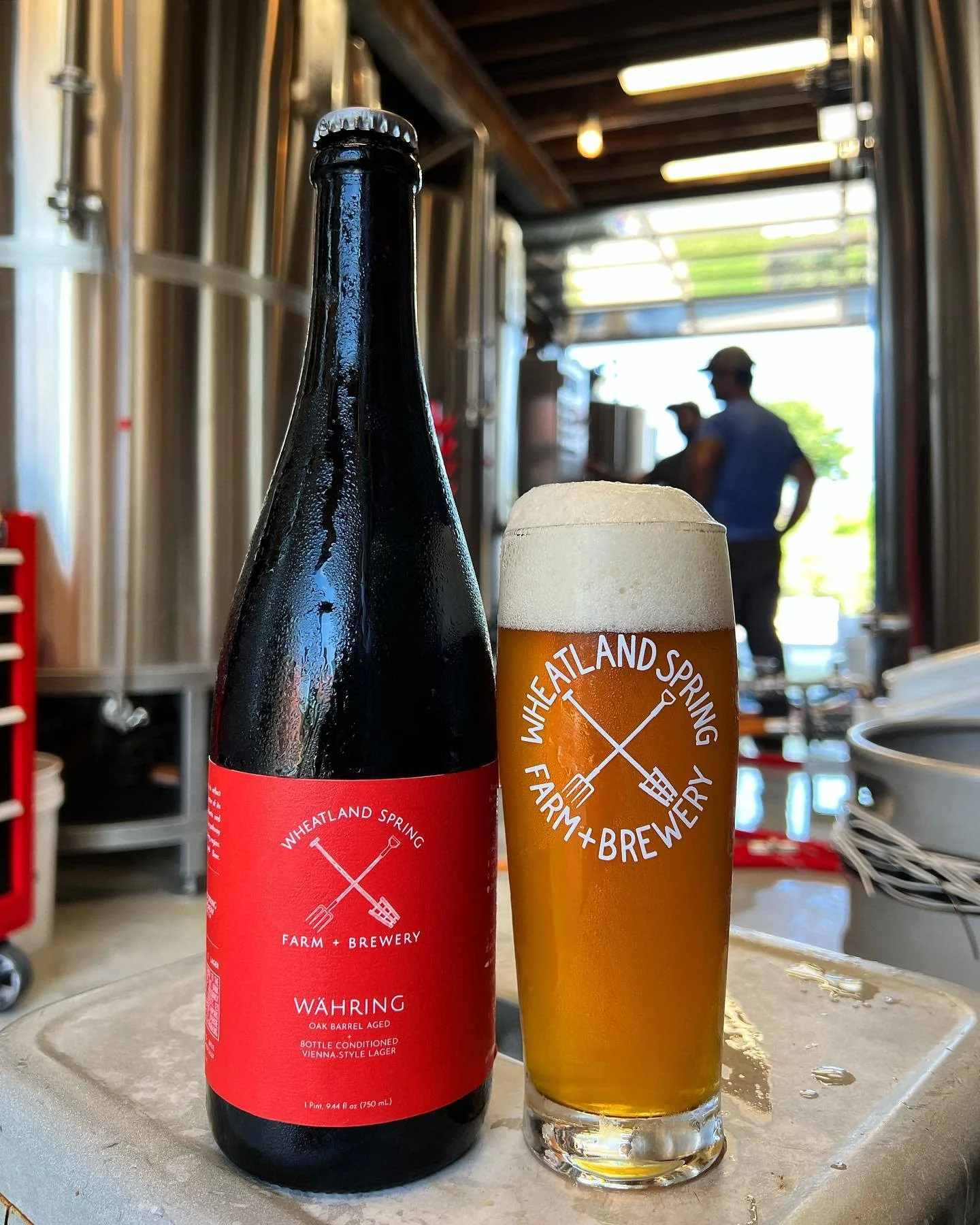 Beer of the Week! 01/05/23