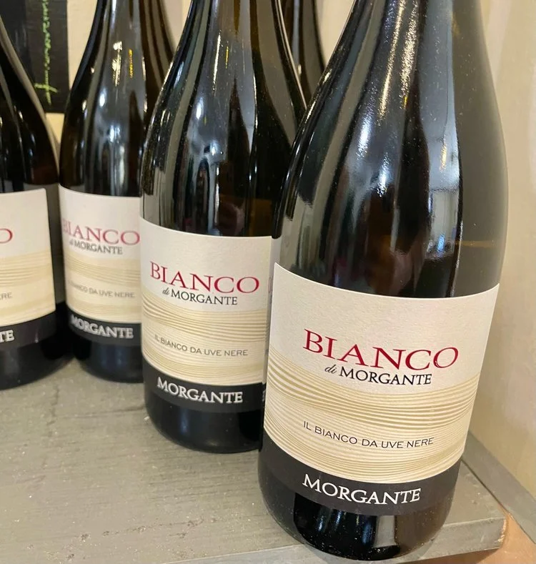 Wine of the Week! 03/28/23