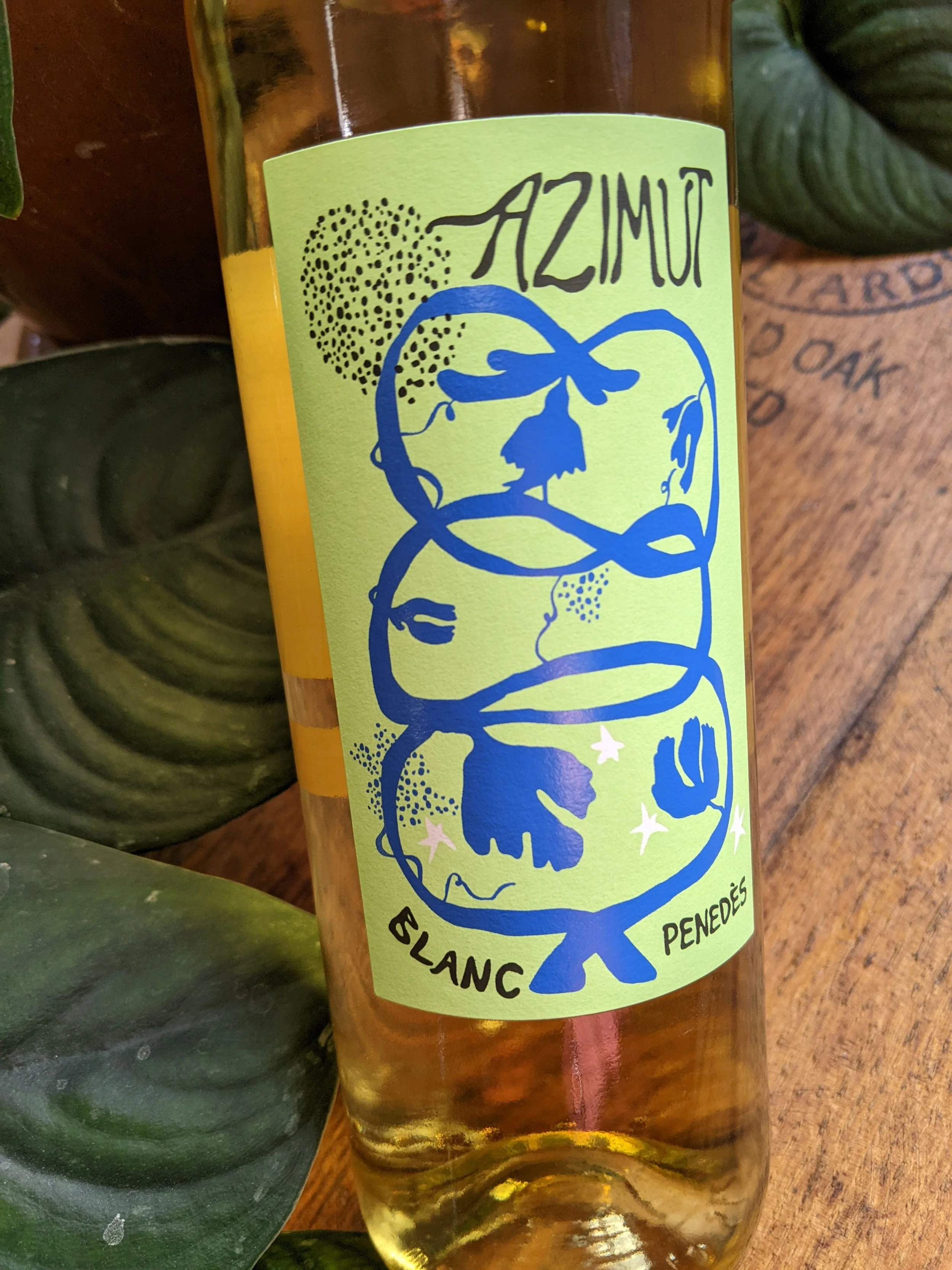 Wine of the Week! 01/23/24