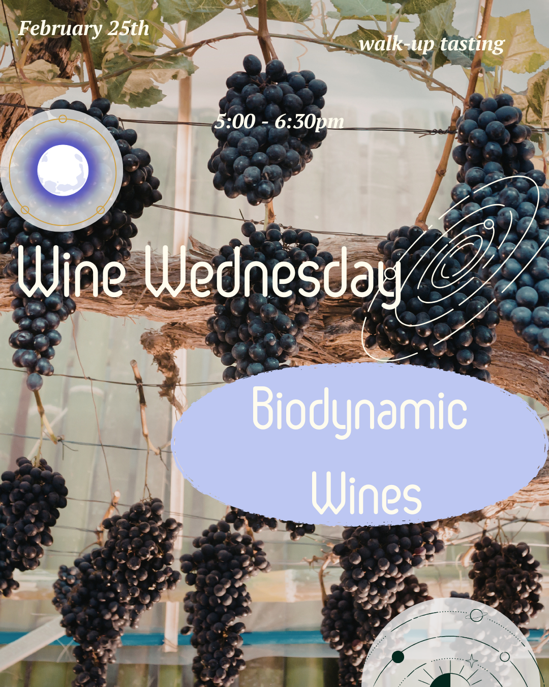 Wine Wednesday : Biodynamic Wines