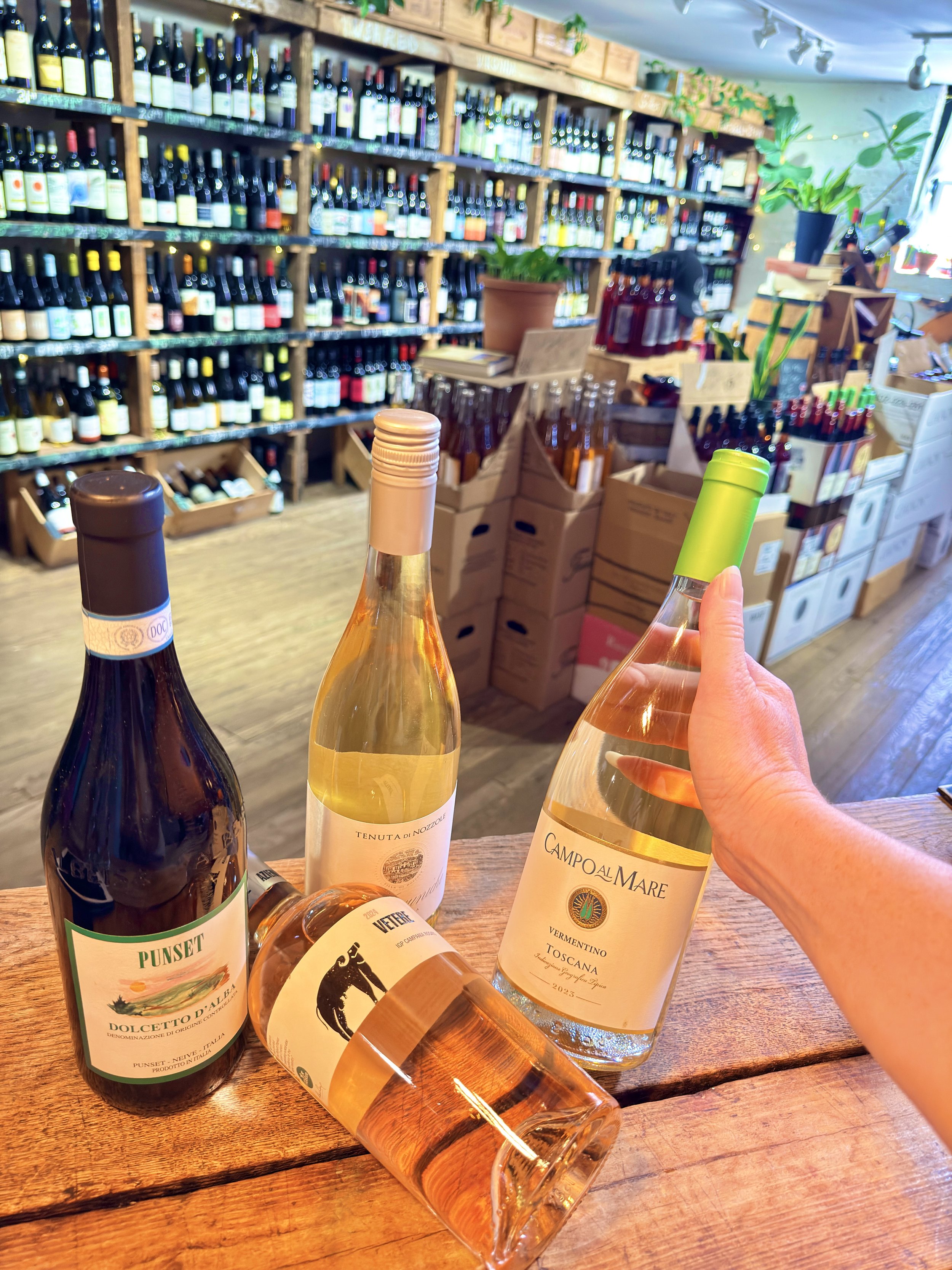 Italian Wine Tasting