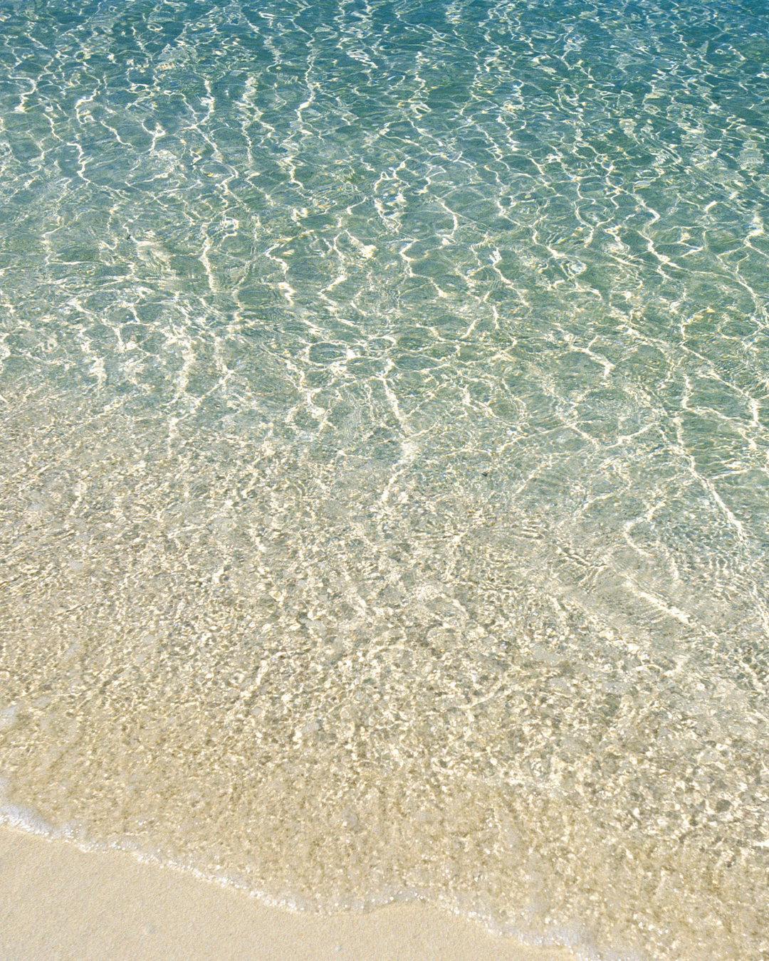 Beachy Summer Wines! 