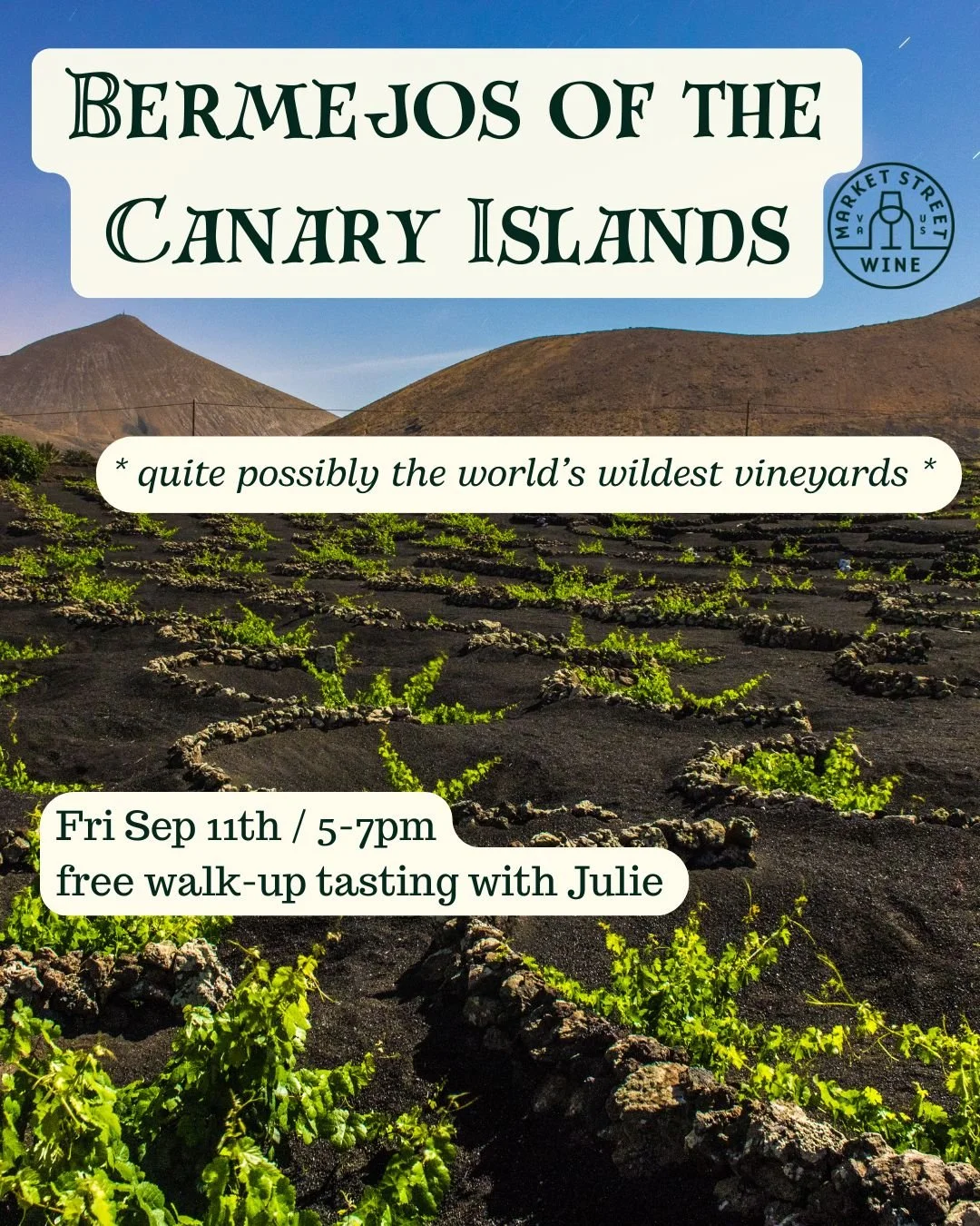 The Mystical Wines of Bermejos (Canary Islands) 