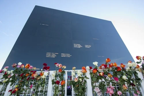 space mirror flowers.jpg