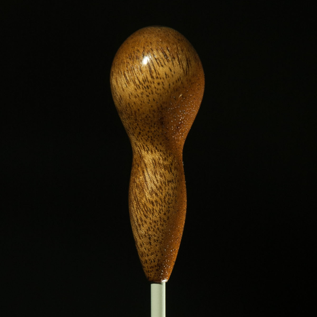 mahogany model T.png