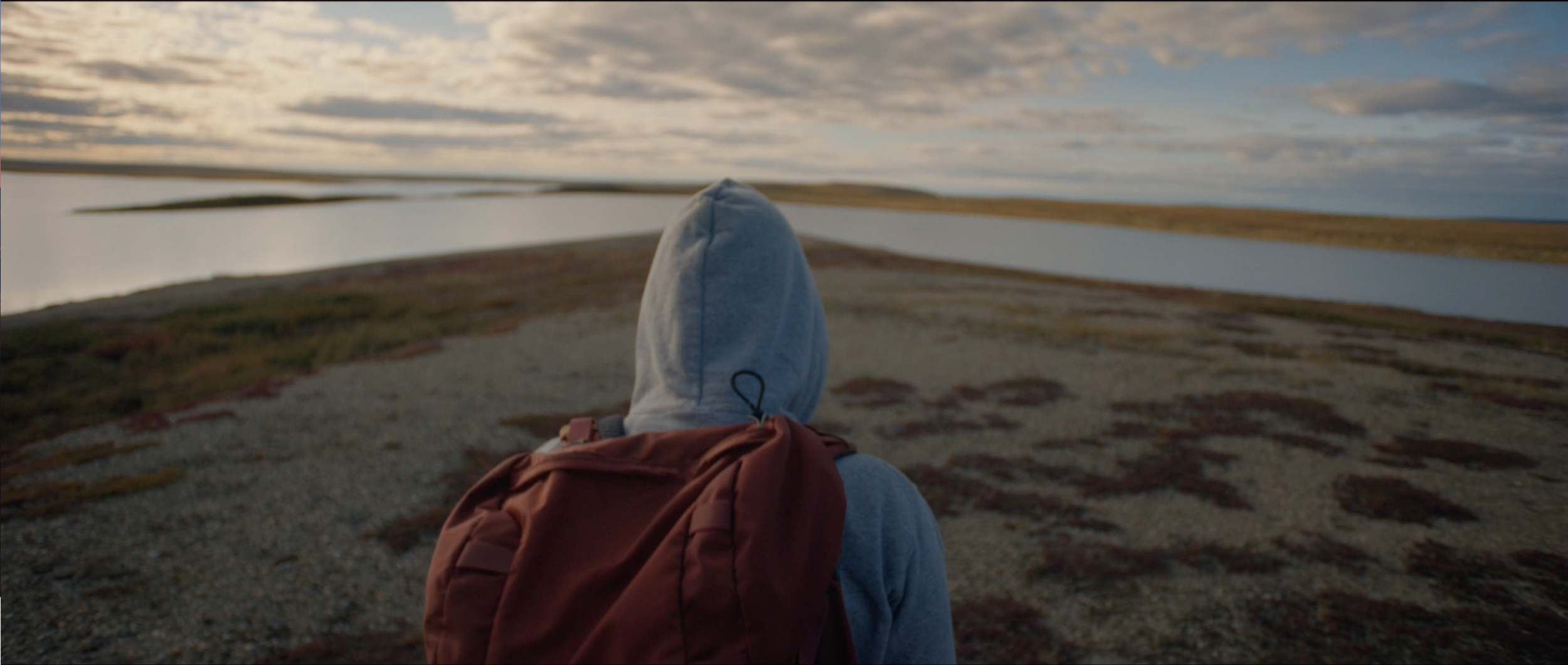 Screen Shot 2020-11-18 at 11.31.45 AM.png