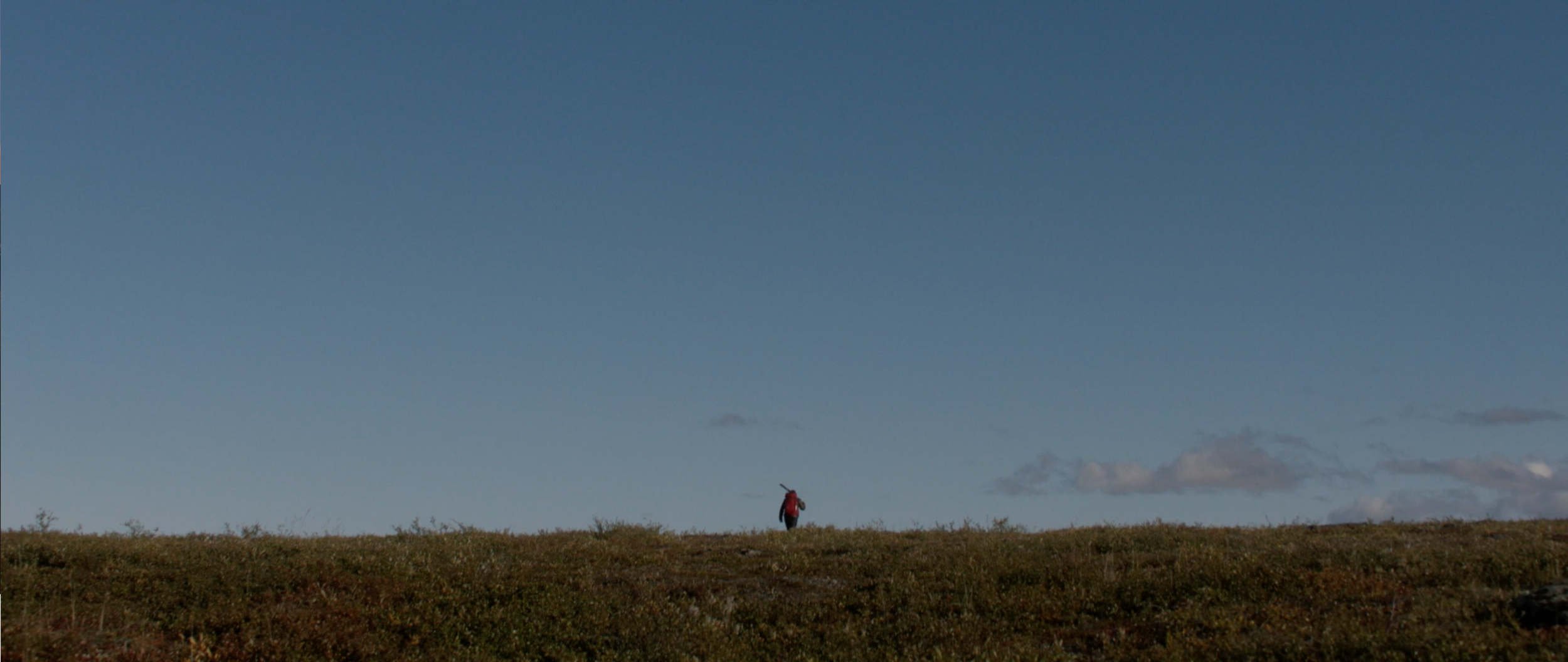 Screen Shot 2020-11-18 at 11.33.45 AM.png