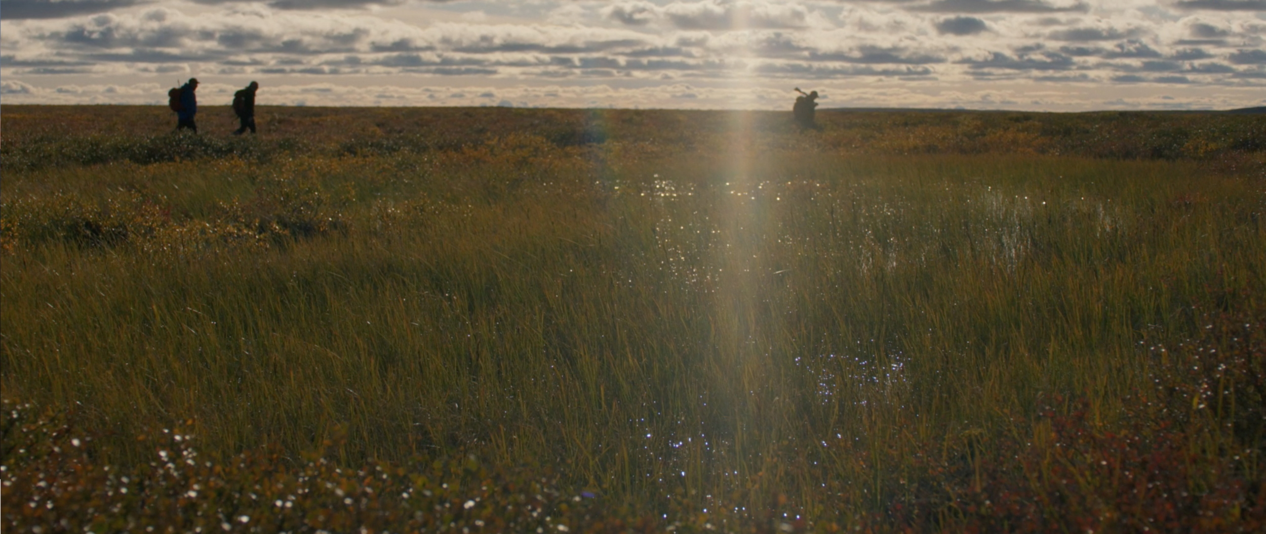 Screen Shot 2020-11-18 at 11.35.30 AM.png