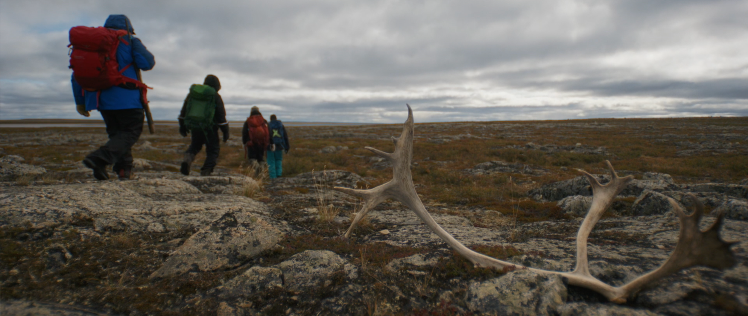 Screen Shot 2020-11-18 at 11.35.00 AM.png