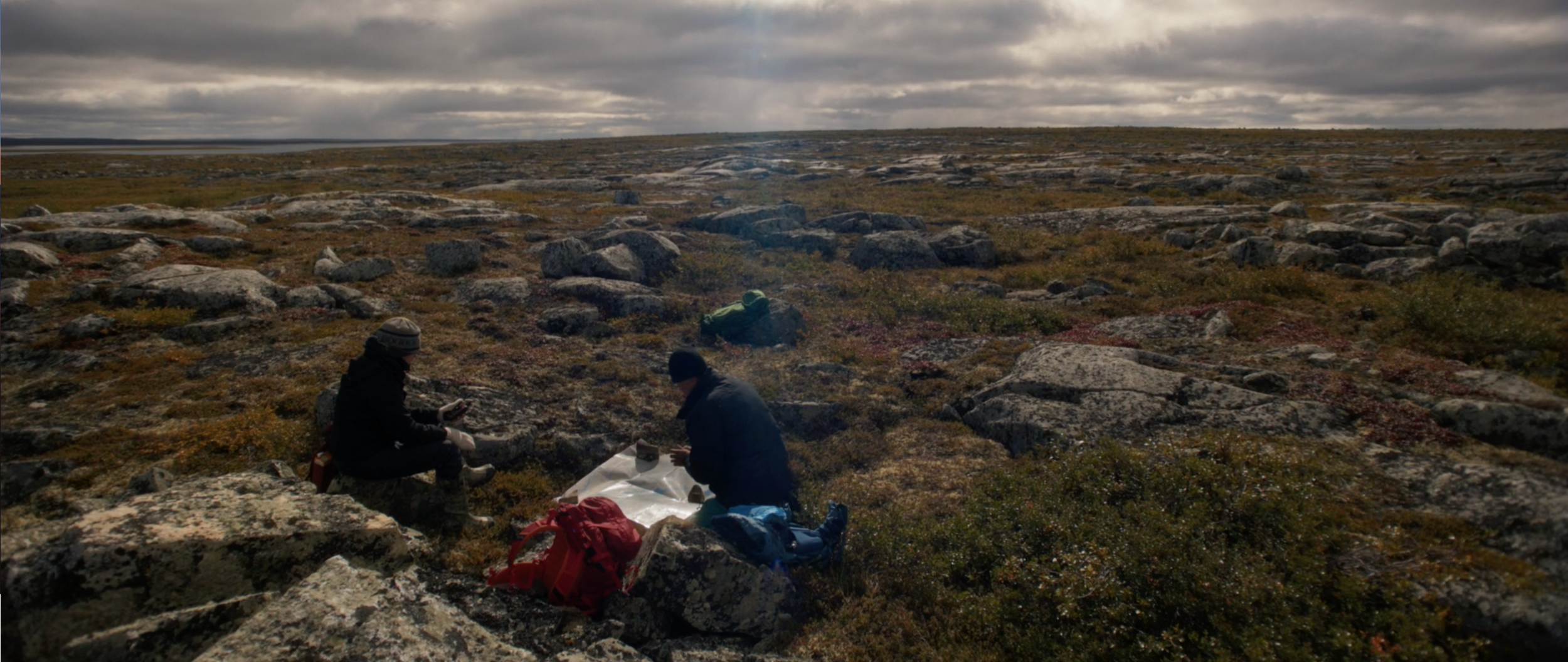 Screen Shot 2020-11-18 at 11.54.56 AM.png