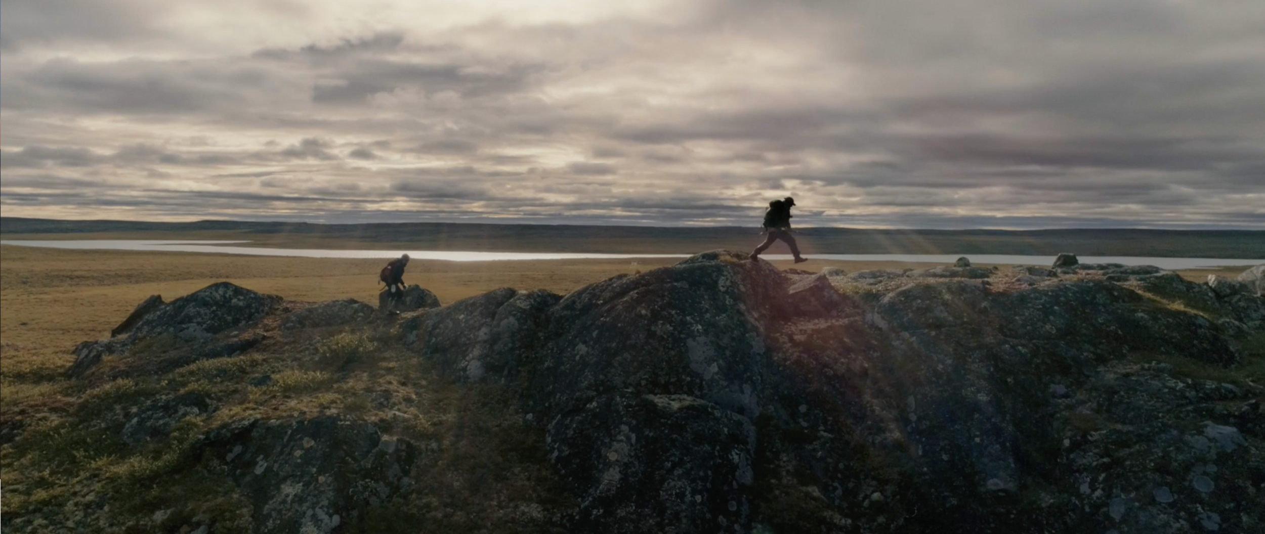 Screen Shot 2020-11-18 at 11.56.30 AM.png