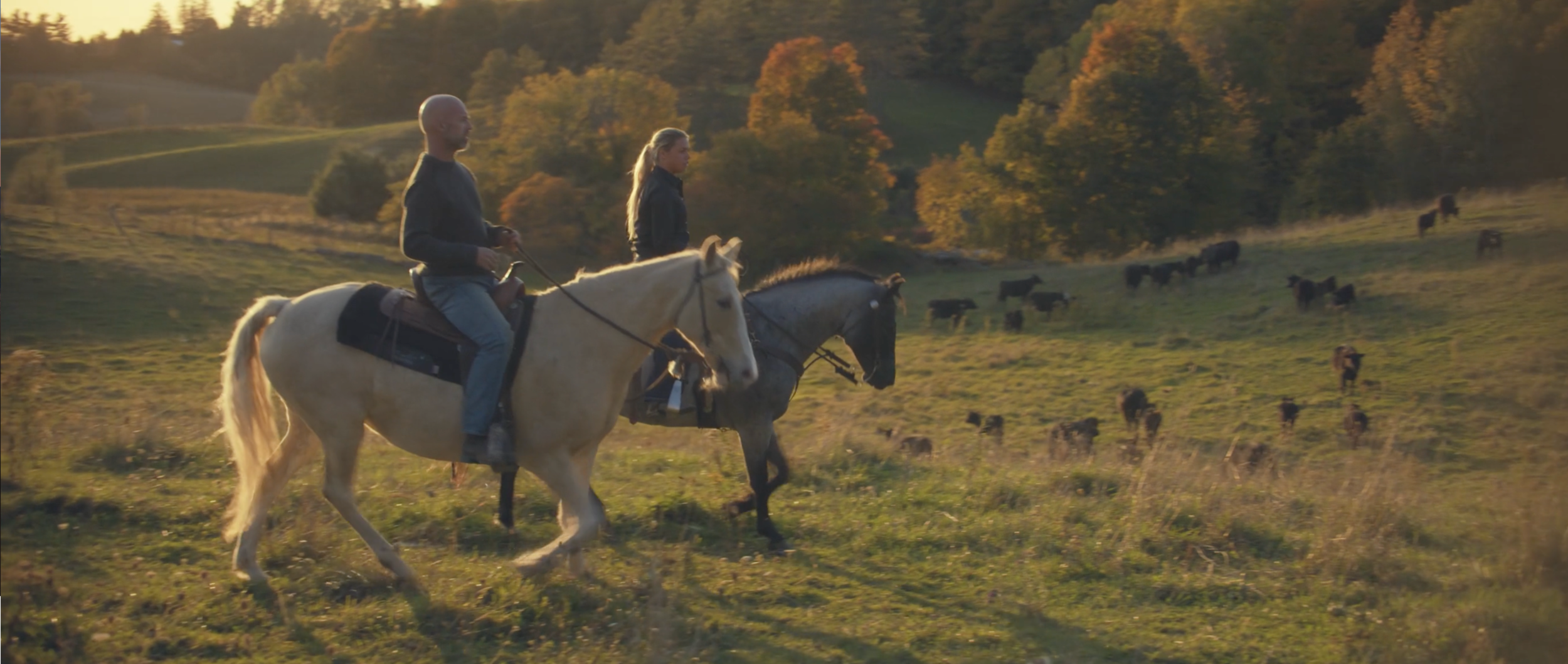 Screen Shot 2020-11-18 at 1.47.39 PM.png