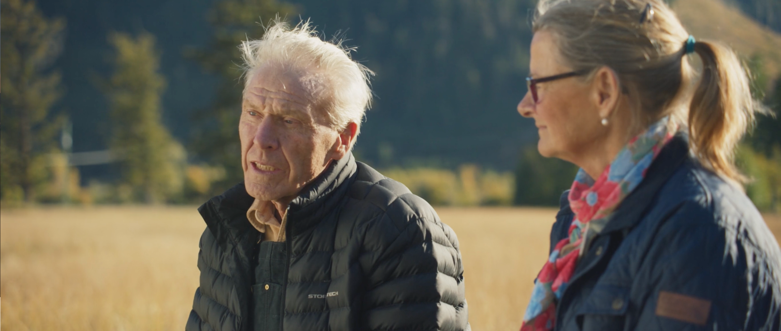 Screen Shot 2020-11-18 at 1.49.48 PM.png