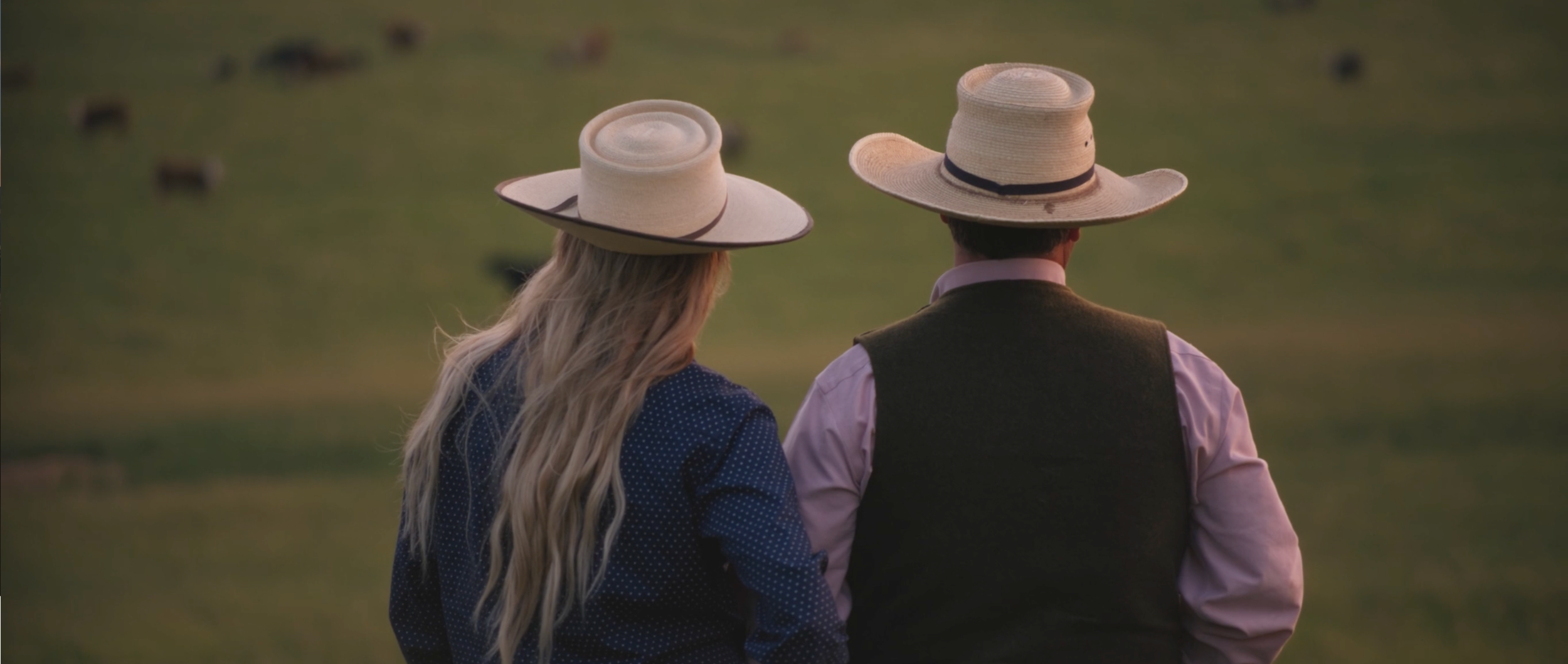 Screen Shot 2020-11-18 at 1.51.14 PM.png