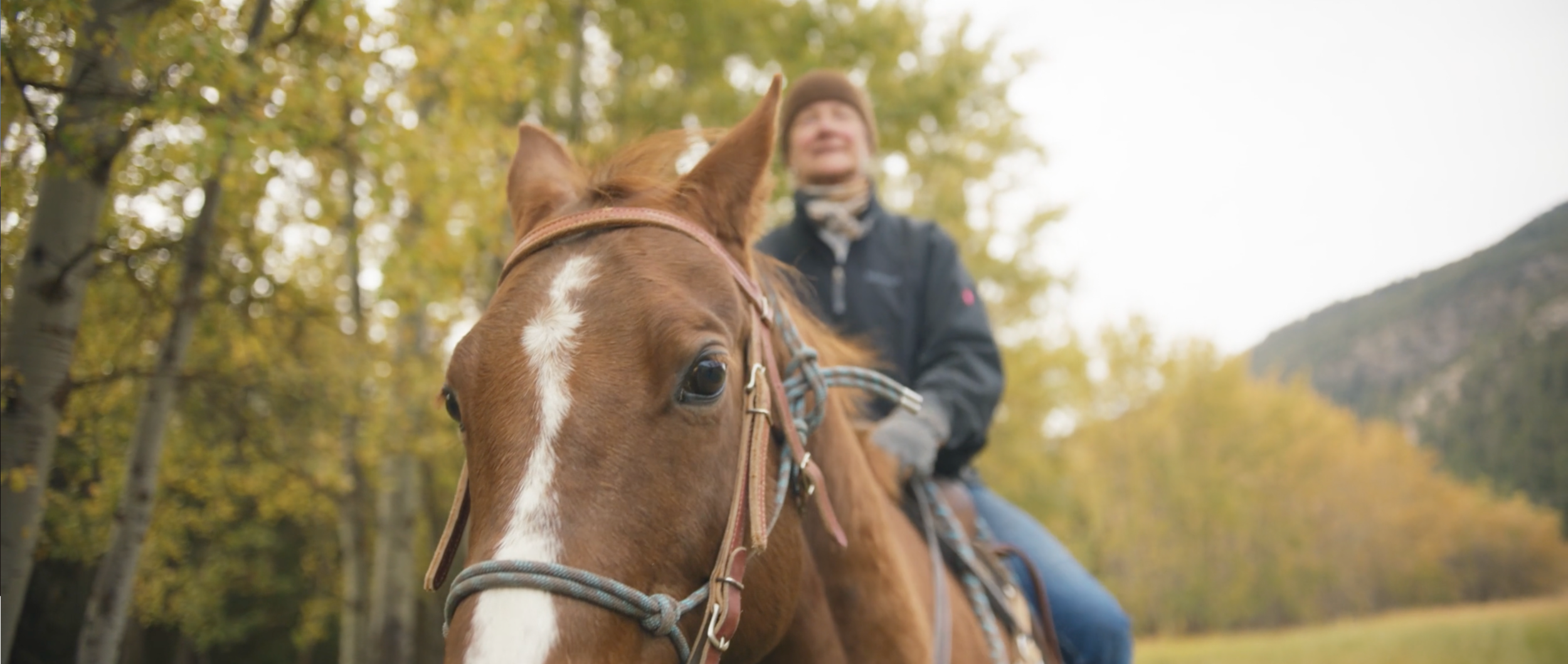 Screen Shot 2020-11-18 at 1.50.50 PM.png